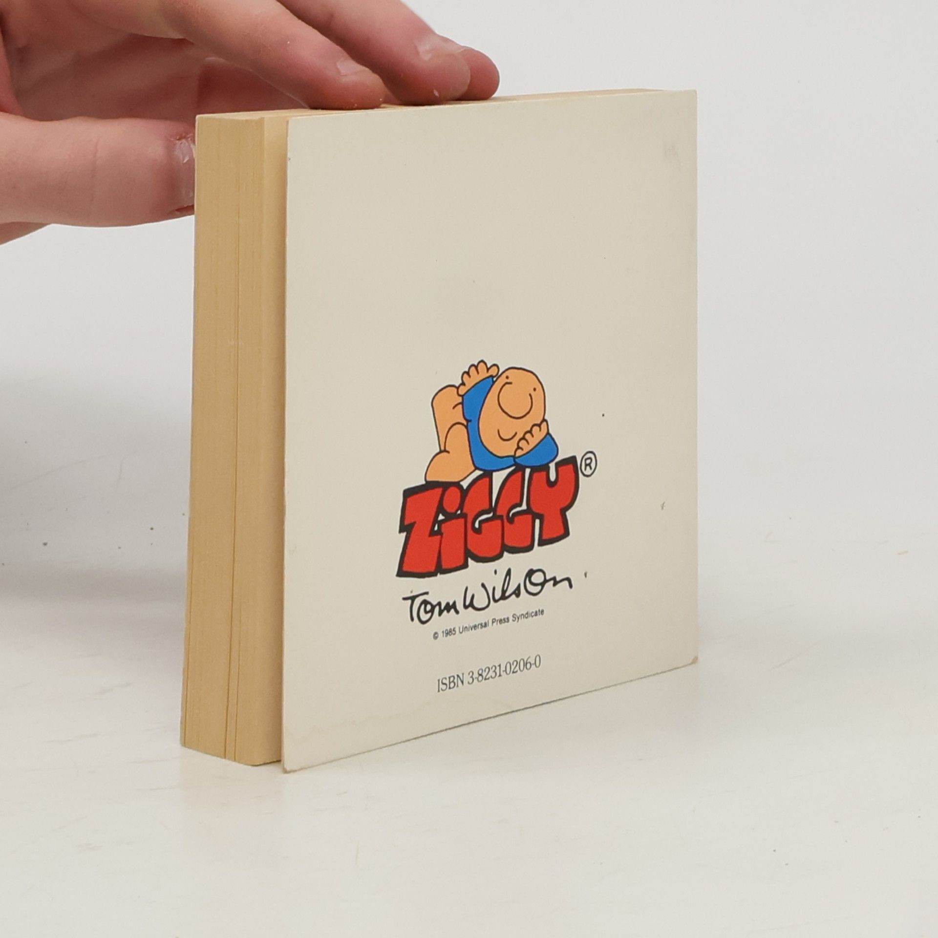 kolektiv Ziggy. Der Gemütsathlet