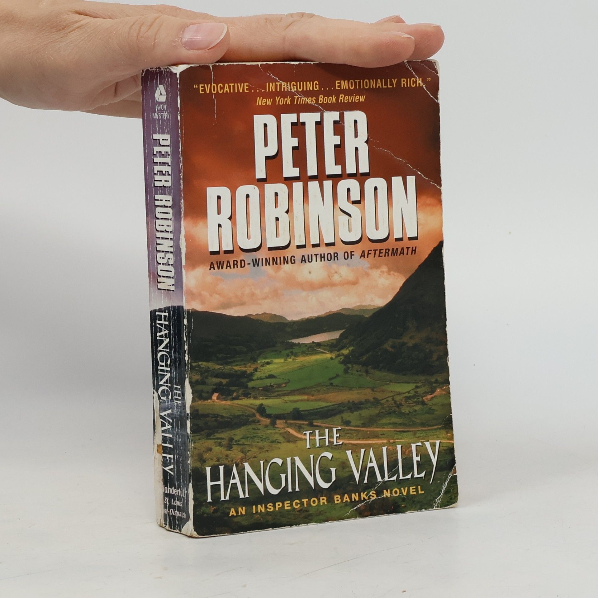 Peter Robinson The Hanging Valley