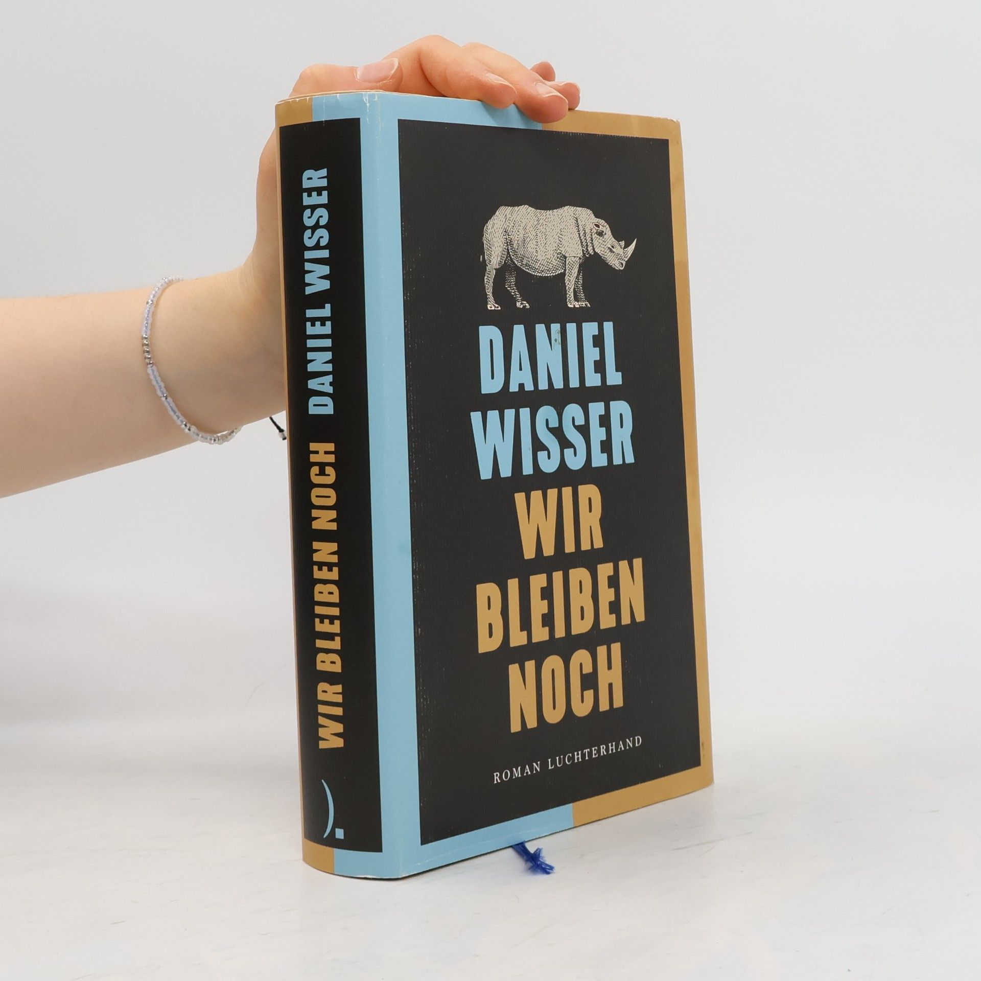 Daniel Wisser Wir bleiben noch