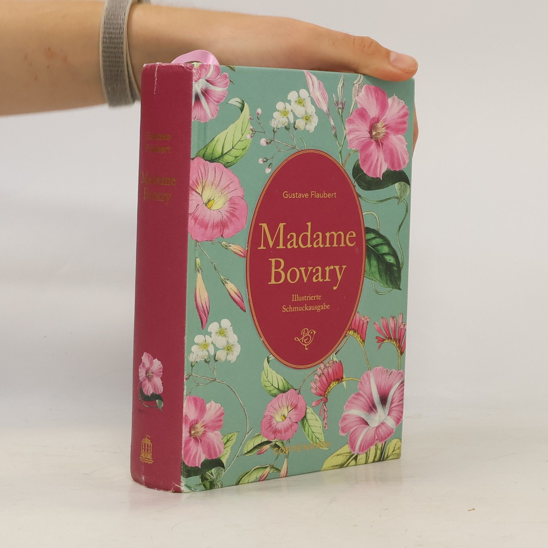 Gustave Flaubert Madame Bovary