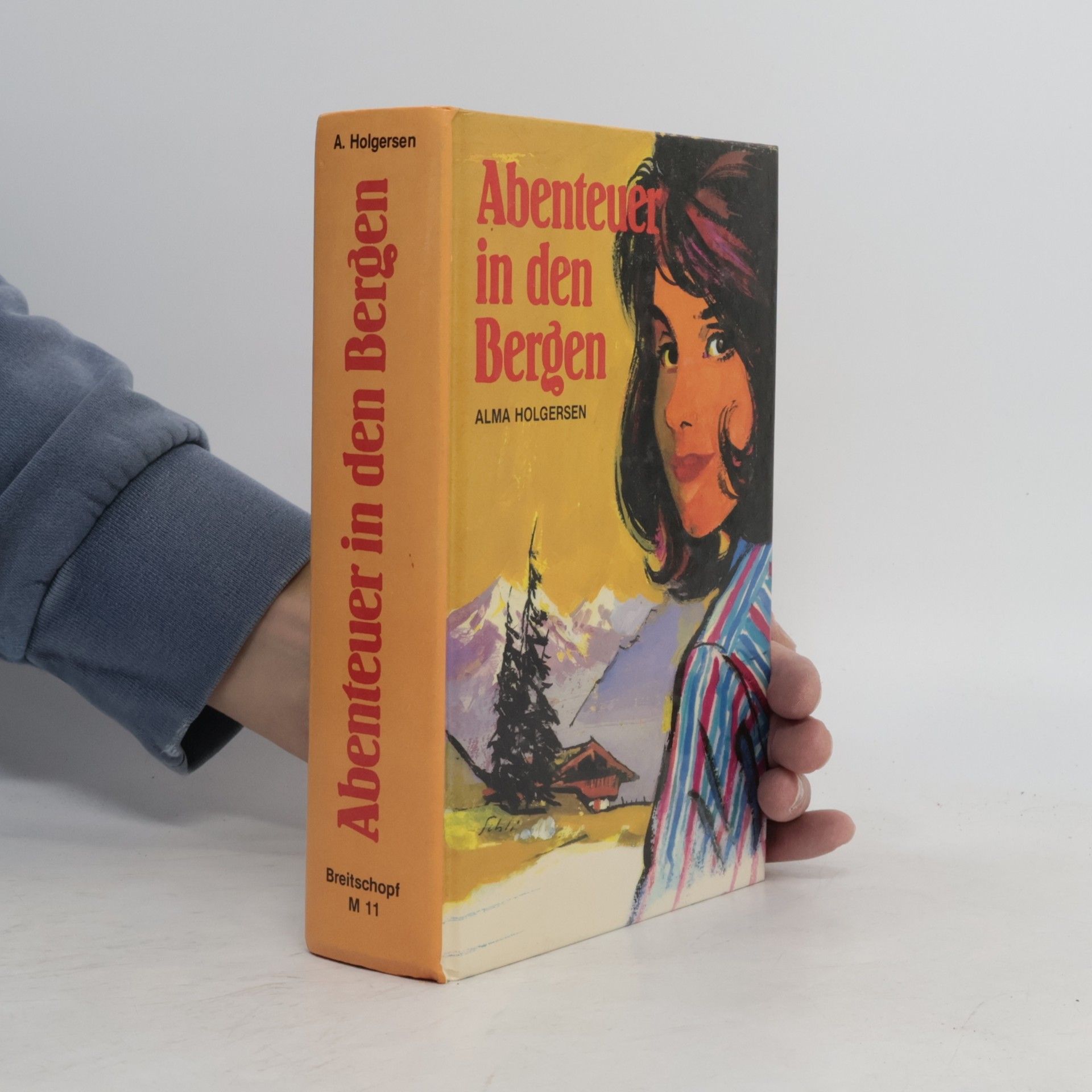 Alma Holgersen Abenteuer in den Bergen