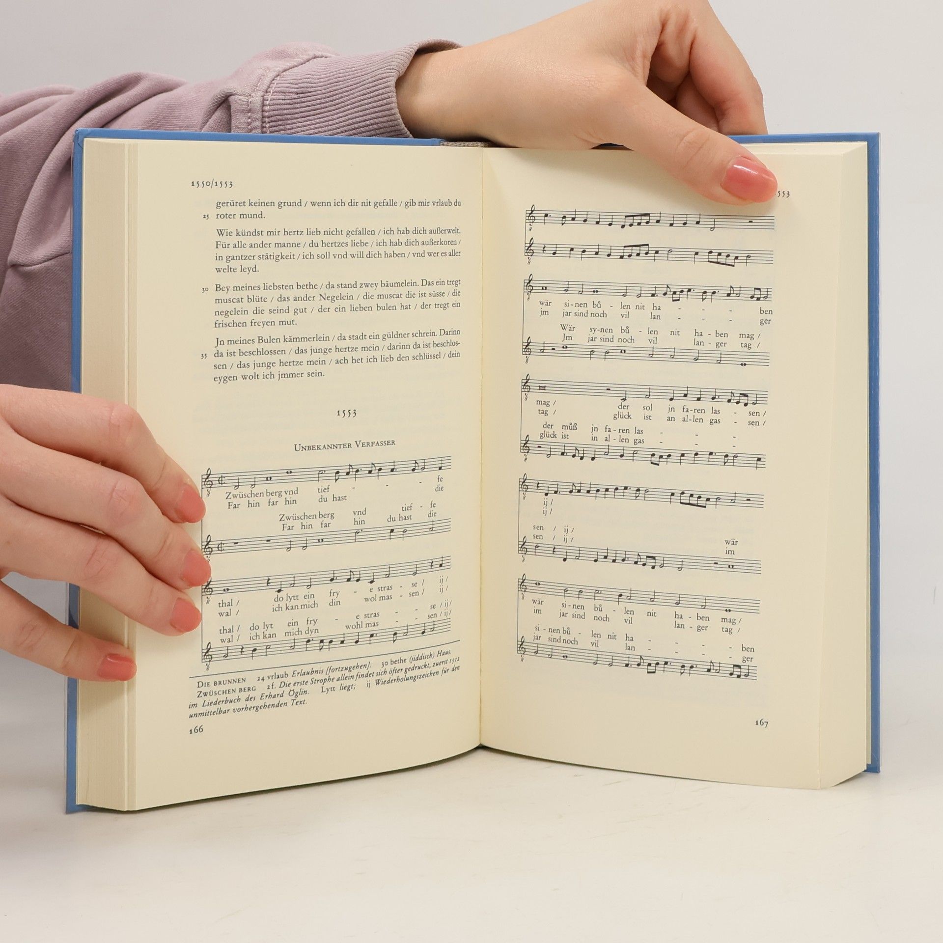 Autorenkollektiv Das deutsche Gedicht epochen der deutschen Lyrik 1500-1600
