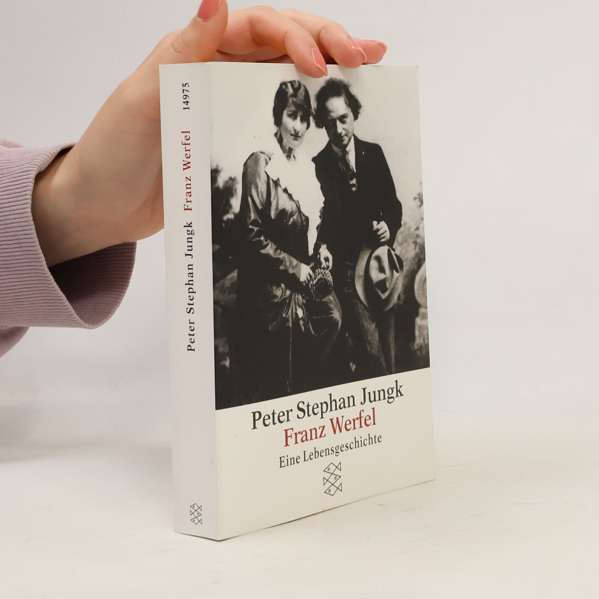Peter Stephan Jungk Franz Werfel