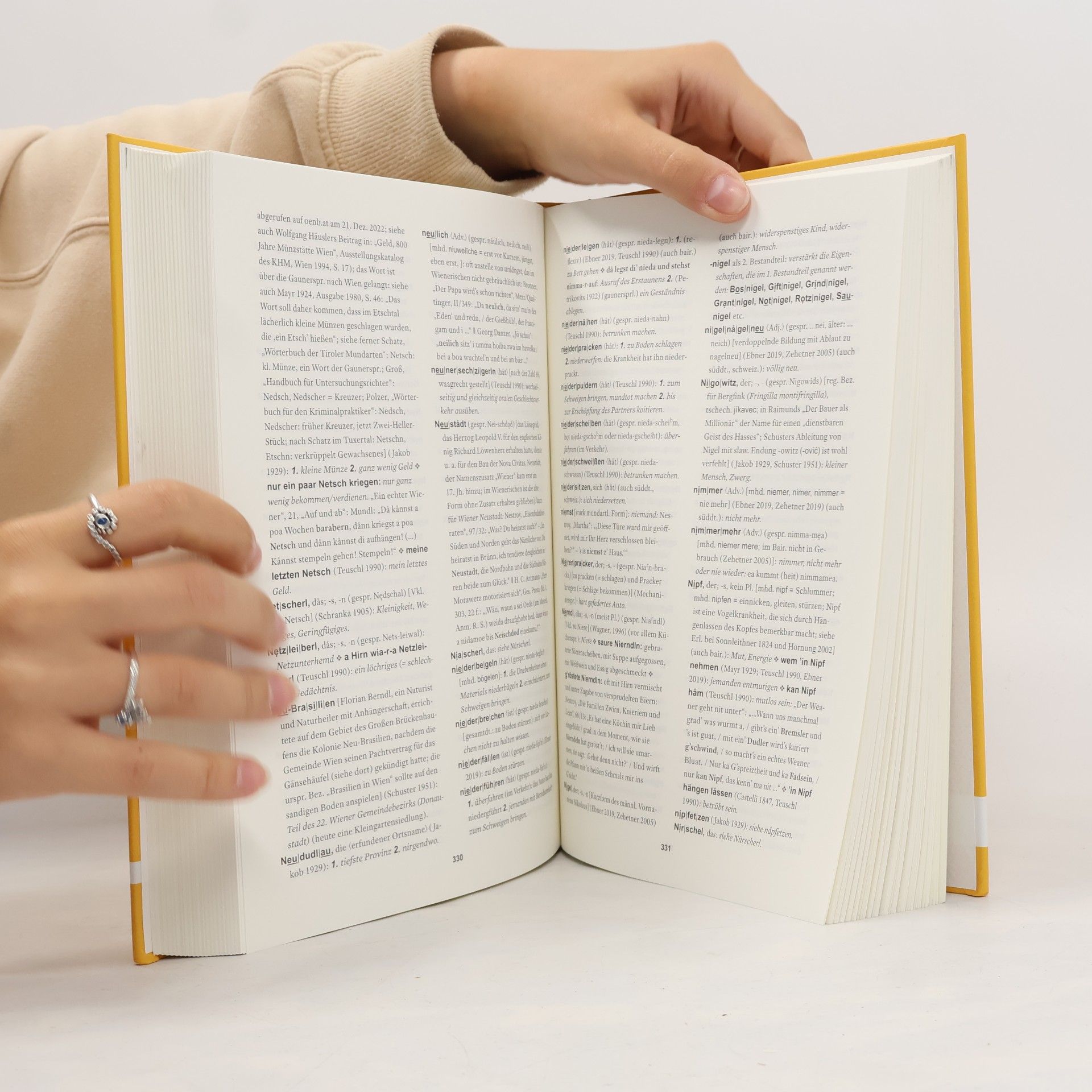 Robert Sedlaczek Das große Wörterbuch des Wienerischen