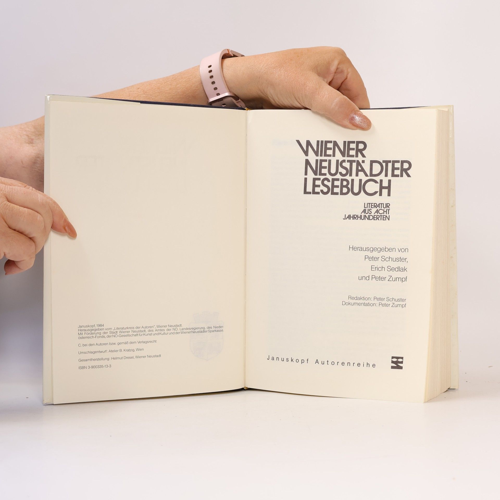 Autorenkollektiv Wiener Neustädter Lesebuch