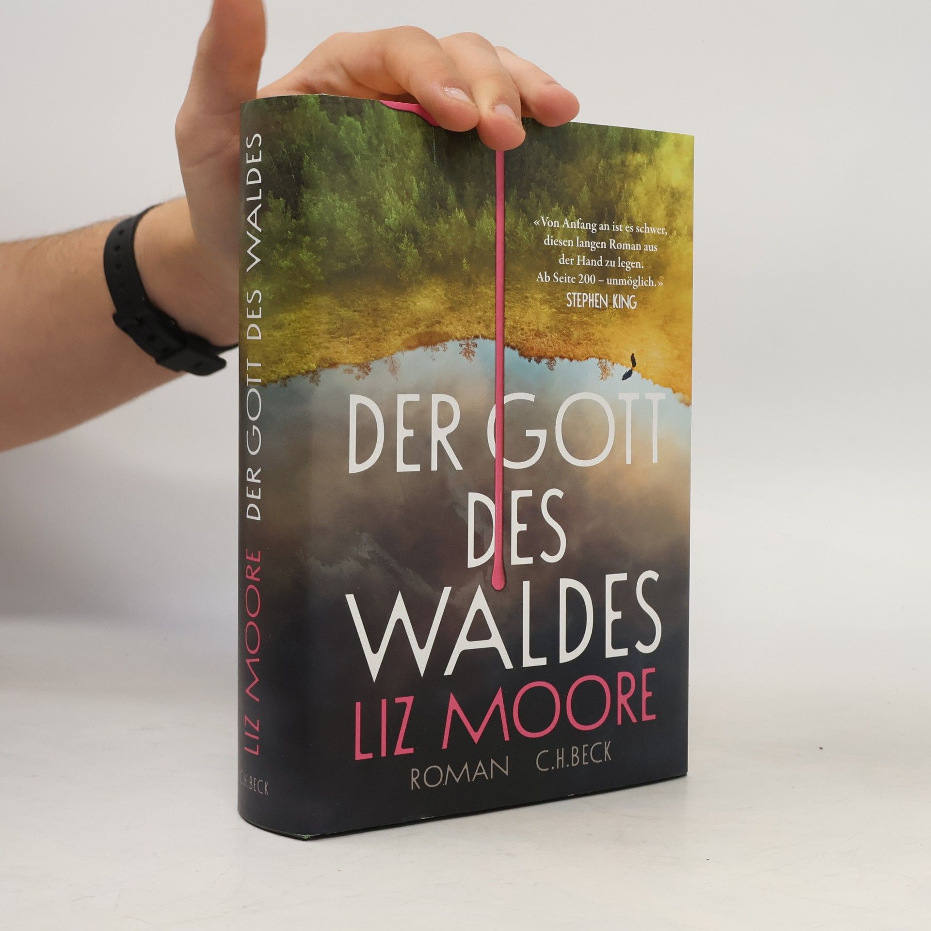 Liz Moore Der Gott des Waldes