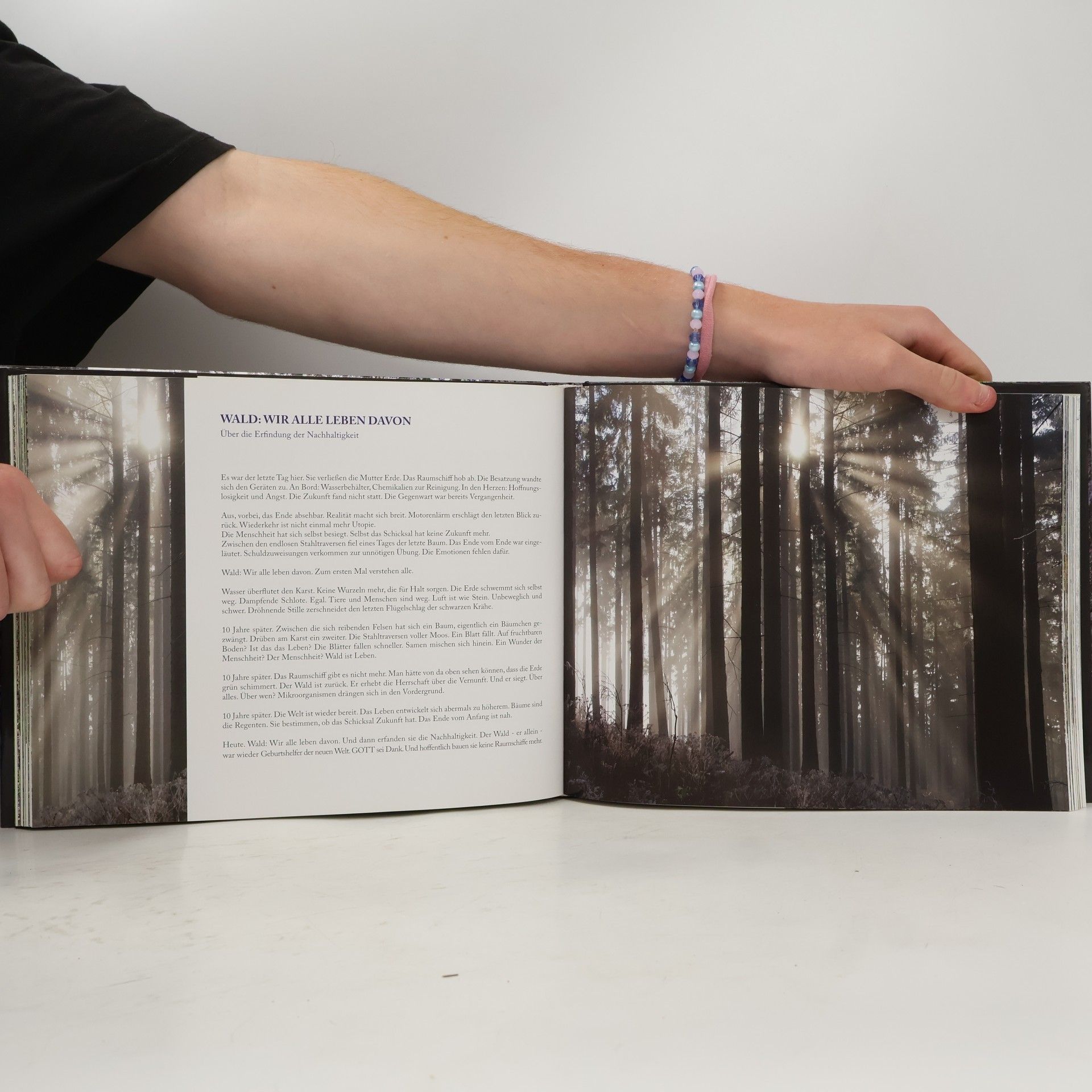 Hermine Hackl "Waldzeit ist's"