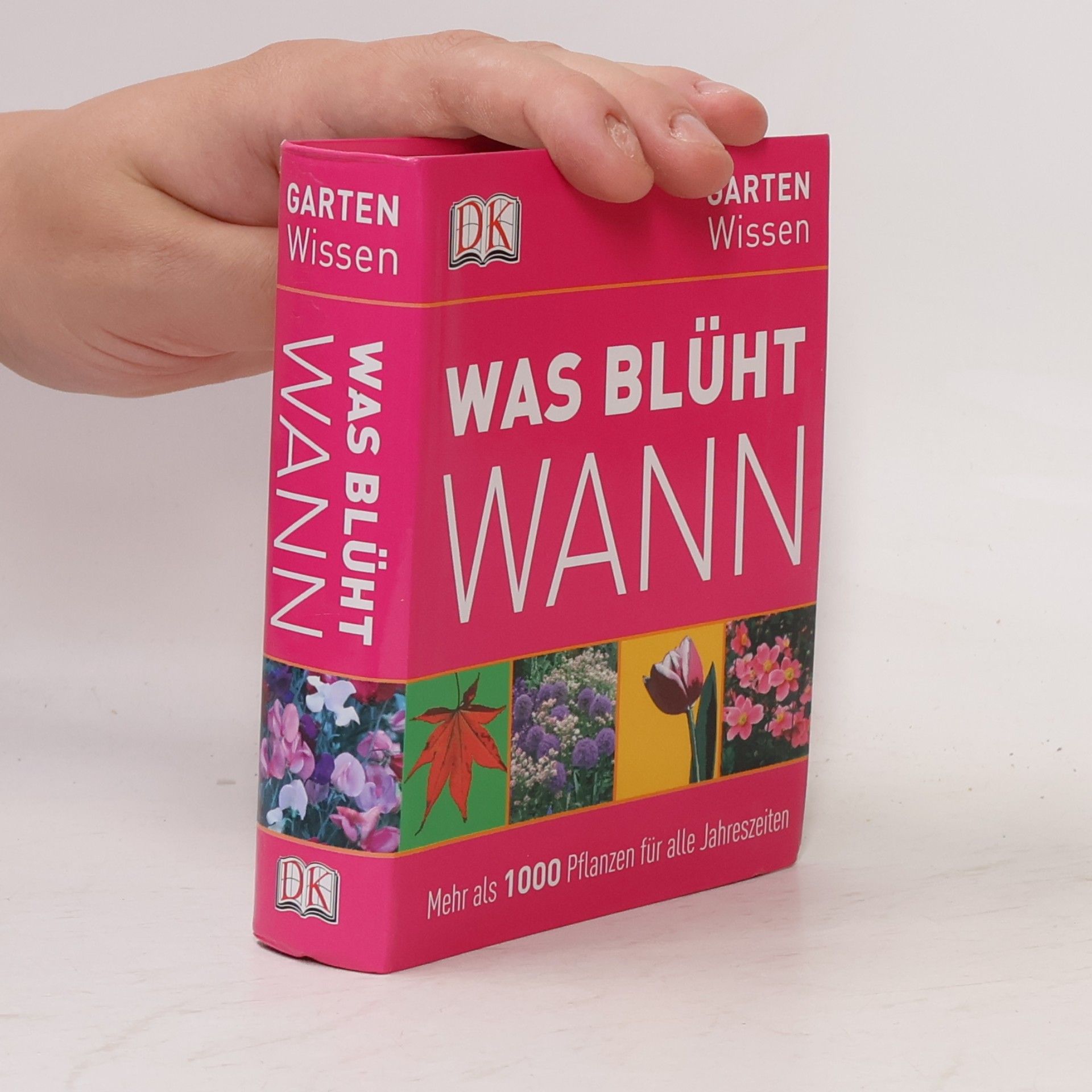 Kolektív autorov Was blüht wann