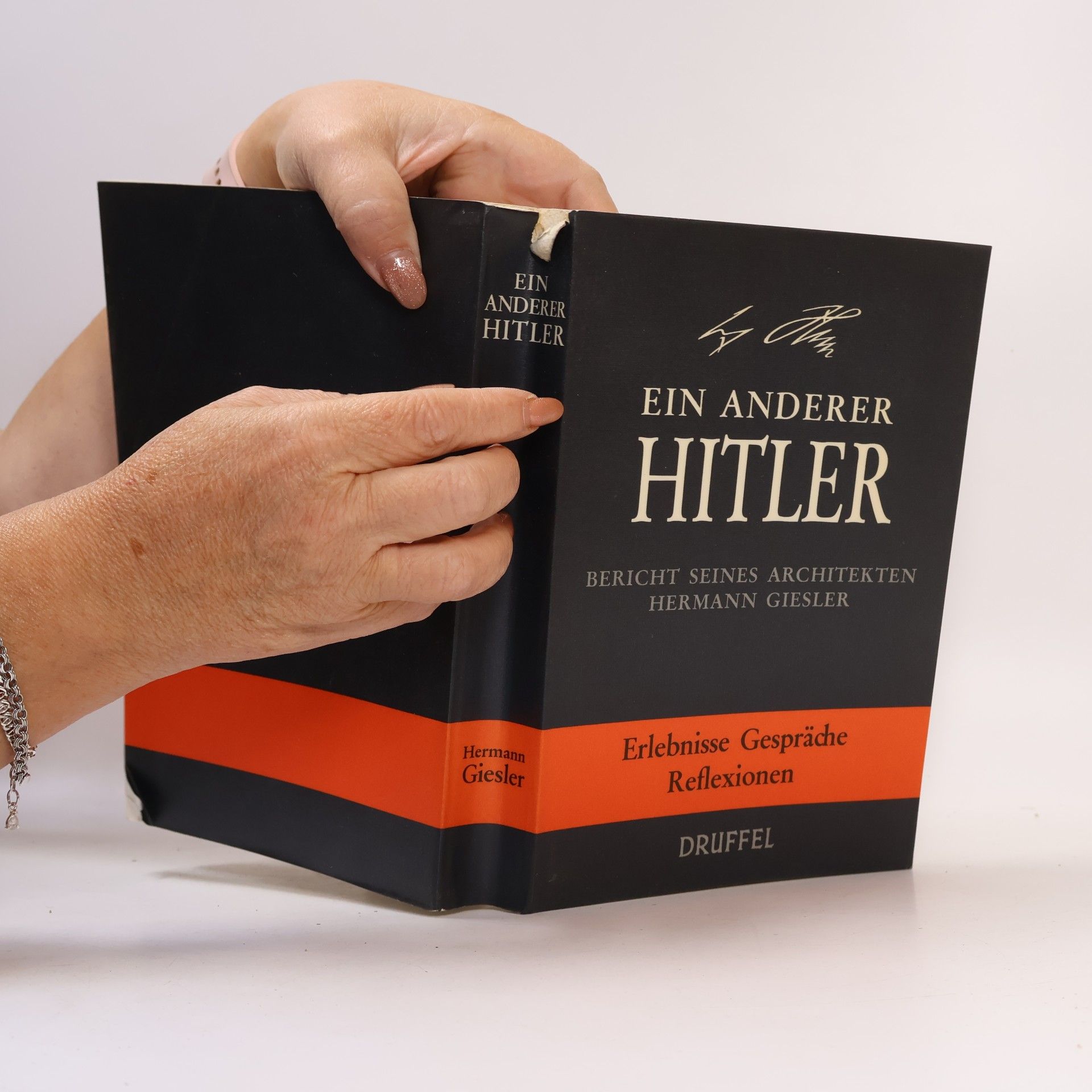 Hermann Giesler Ein anderer Hitler
