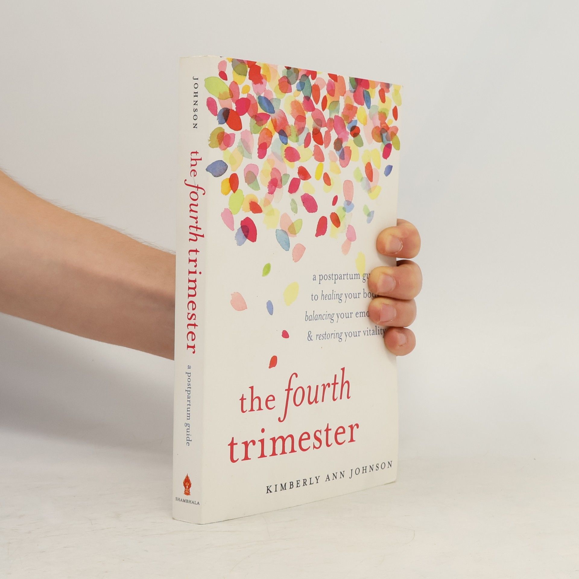 Kimberly Ann Johnson The fourth trimester