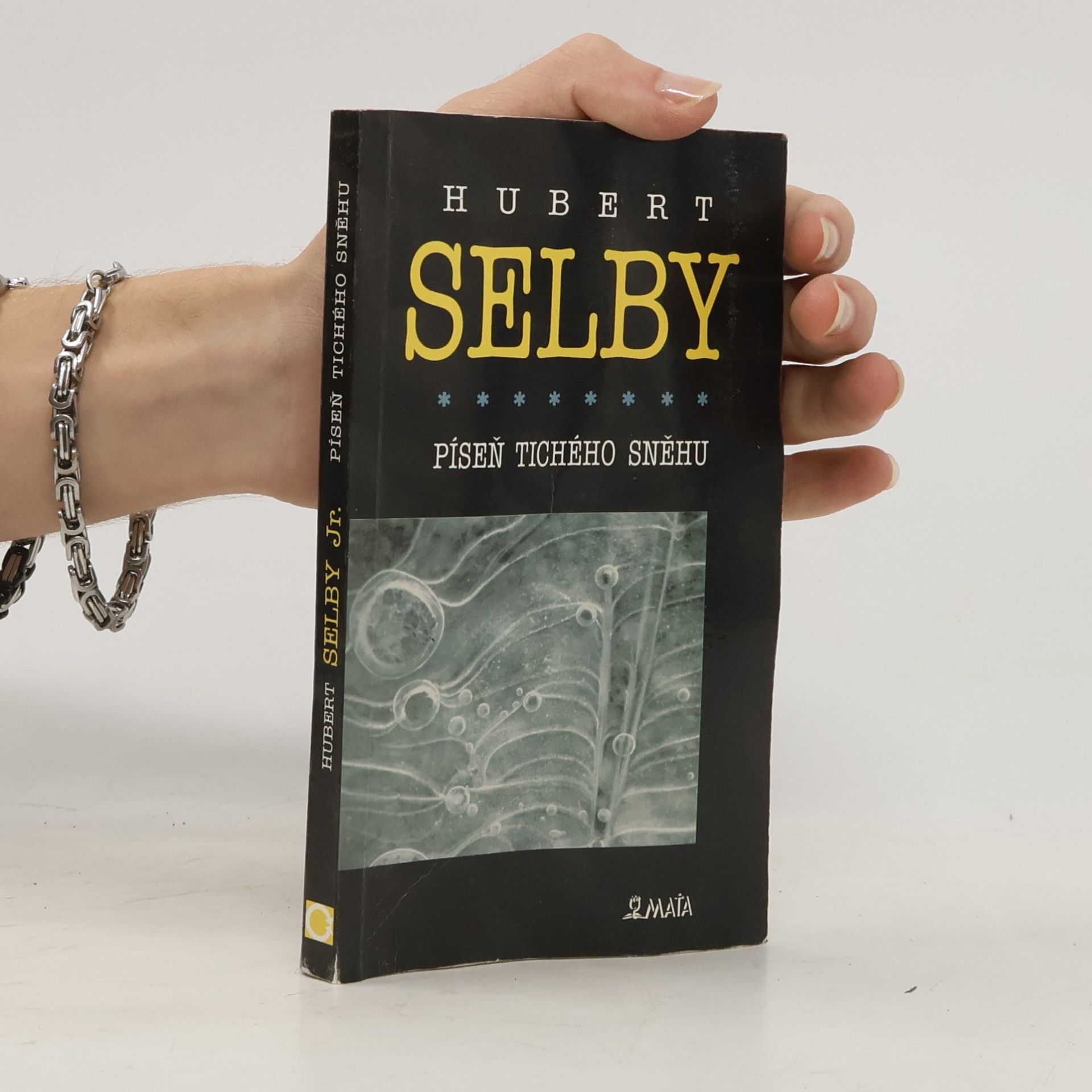Hubert Selby Jr. Píseň tichého sněhu