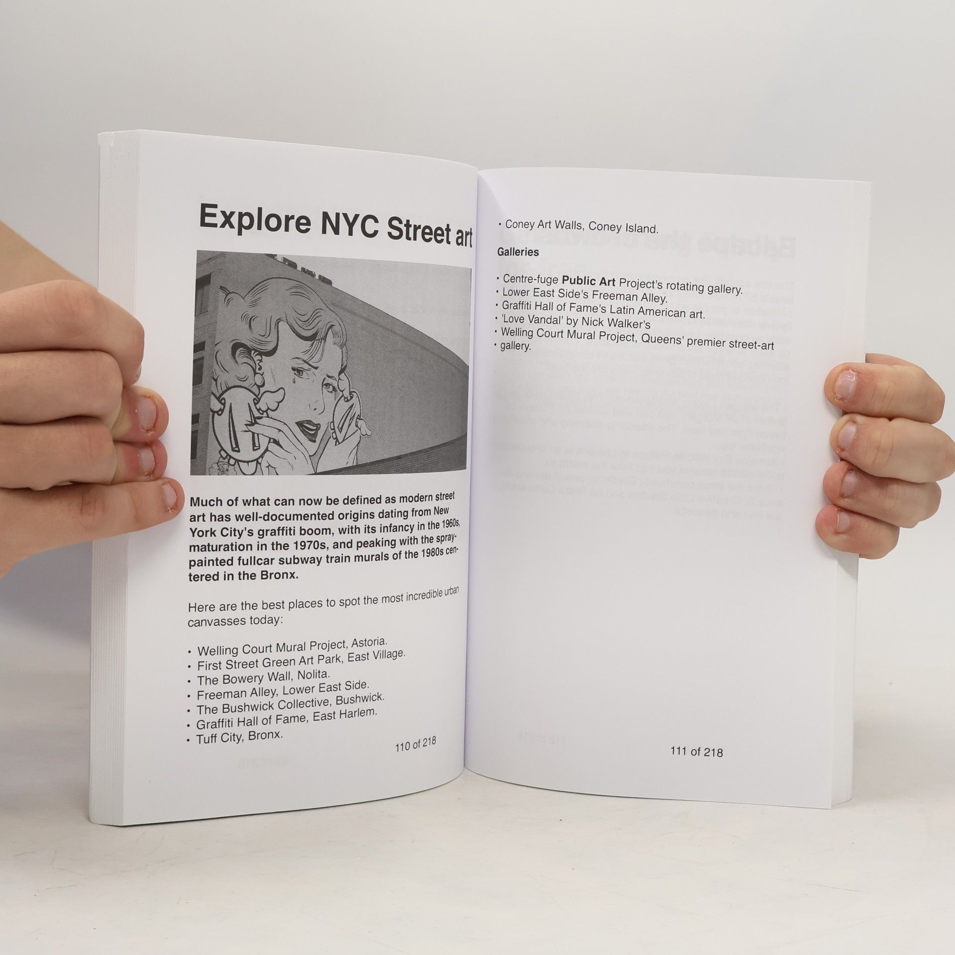 Phil G. Tang Super Cheap Insider Guides - 25: Super Cheap New York Travel Guide 2023