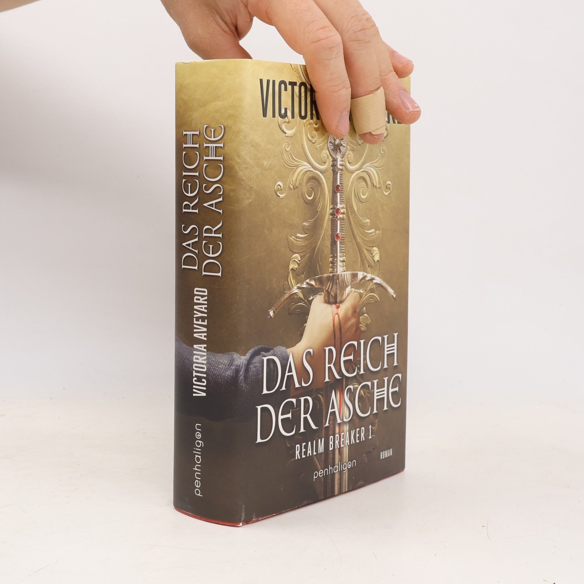 Victoria Aveyard Das Reich der Asche - Realm Breaker 1