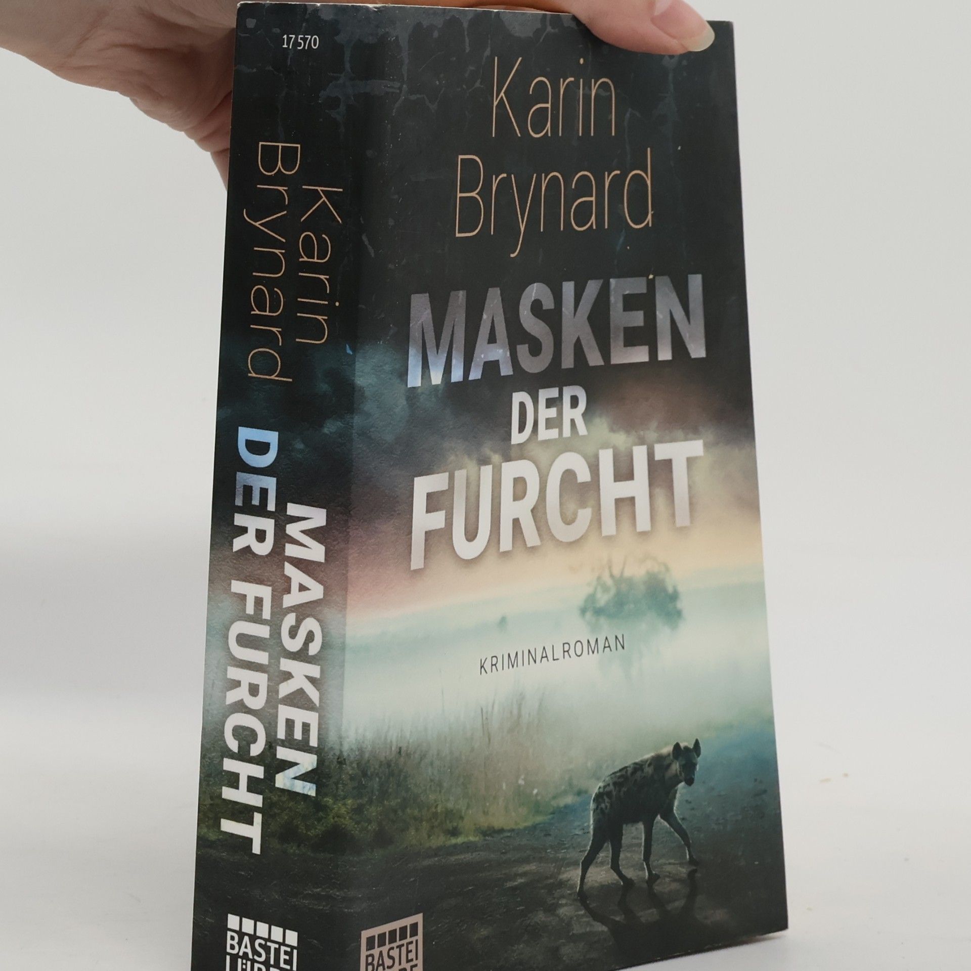 Karin Brynard Masken der Furcht