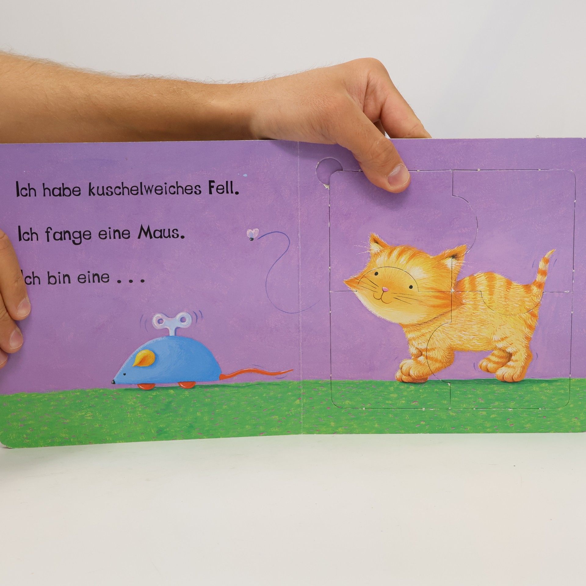 Estelle Corke Mein Puzzle-Buch