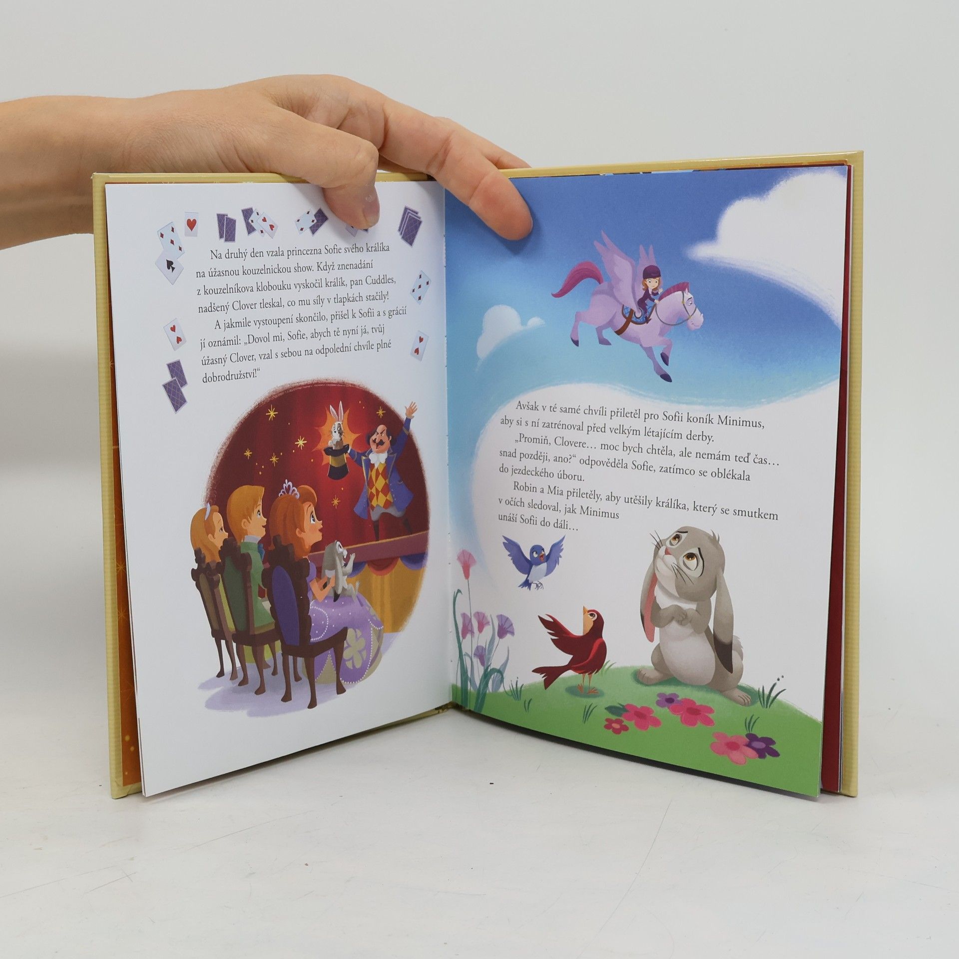 Autorenkollektiv Zlatá sbírka pohádek 41. Sofie První: Kouzelný králíček
