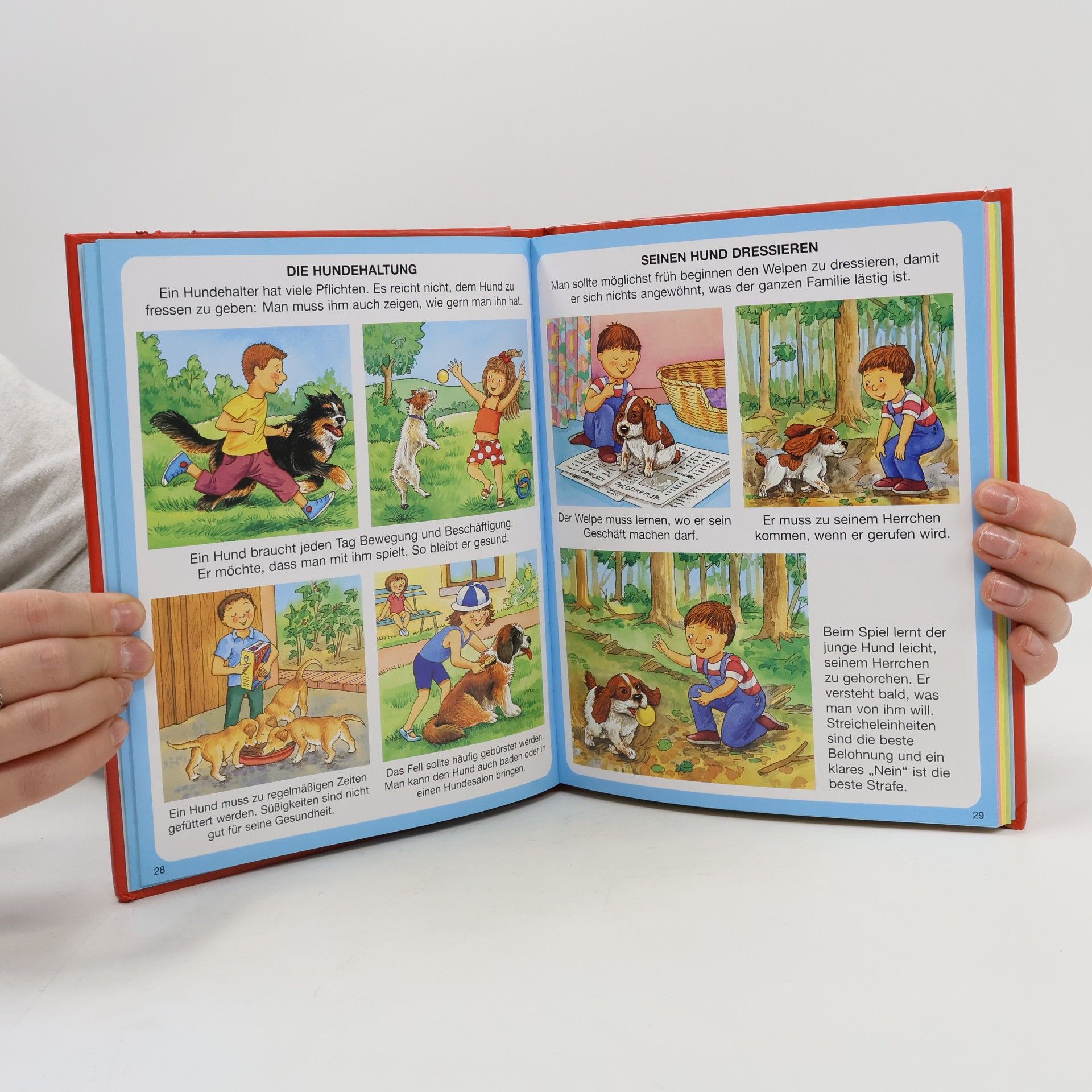 Patricia Reinig Dein buntes Wörterbuch Haustiere
