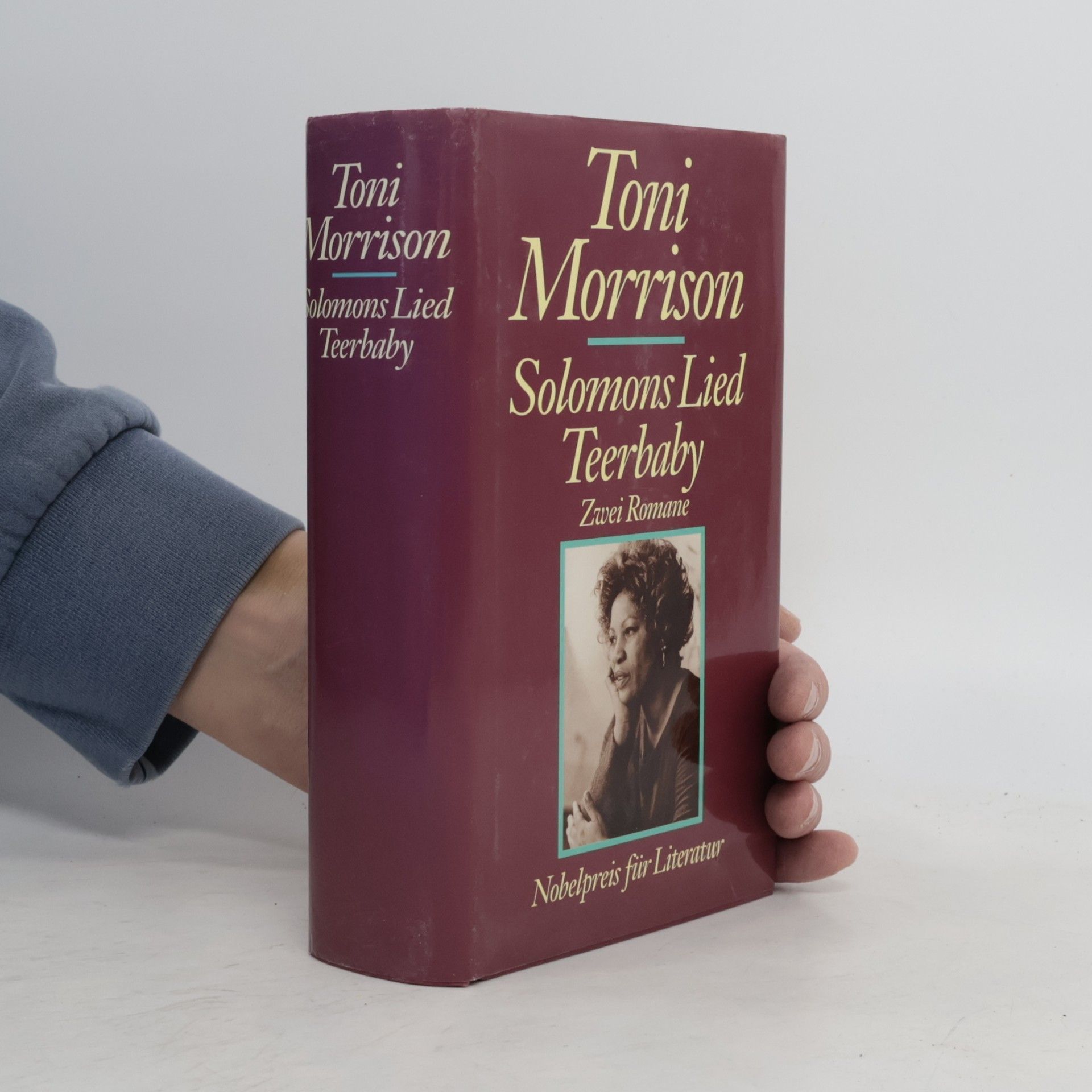 Toni Morrison Solomons Lied. Teerbaby