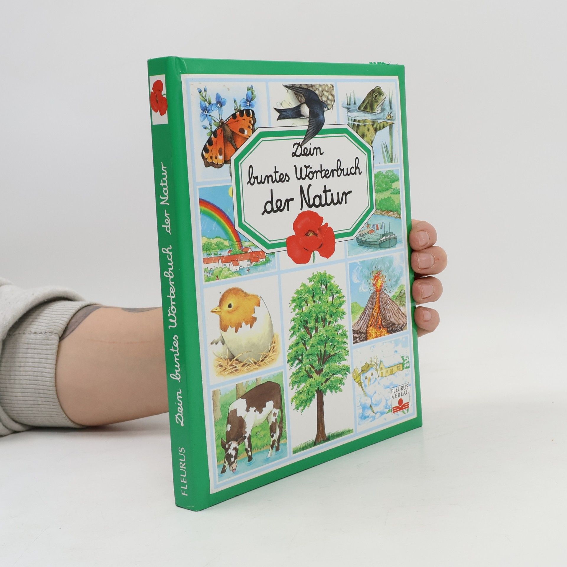 Émilie Beaumont Dein buntes Wörtebuch der Natur