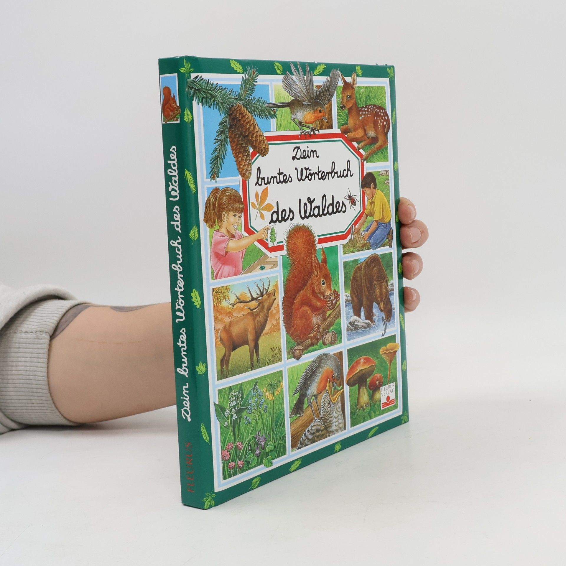 Marie-Renée Pimont Dein buntes Wörterbuch des Waldes