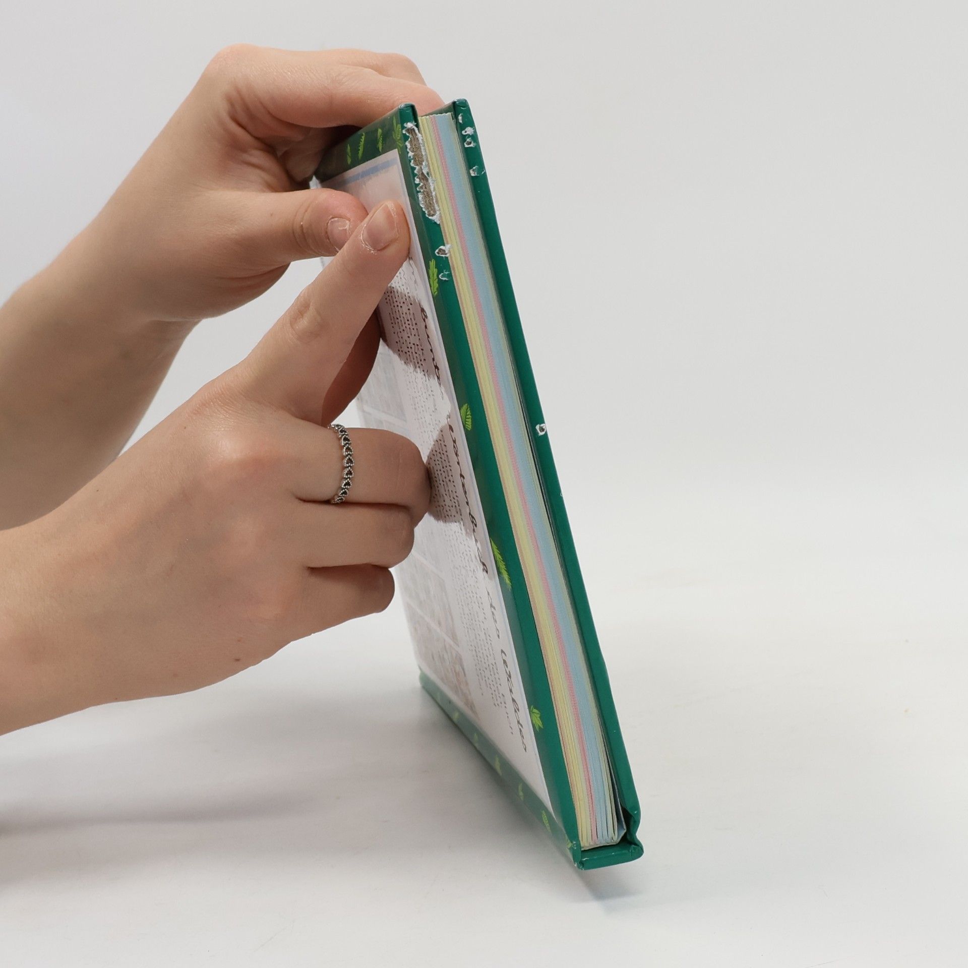 kolektiv Dein buntes Wörterbuch des Waldes