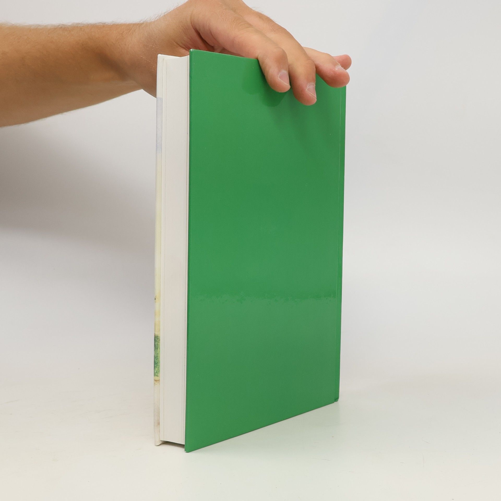 Autores varios Wals-Siezenheimer Zeitreise