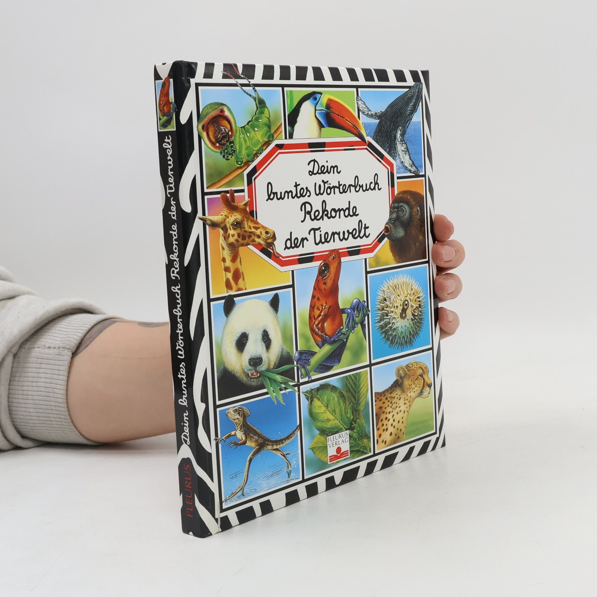 Émilie Beaumont Dein buntes Wörterbuch Rekorde der Tierwelt