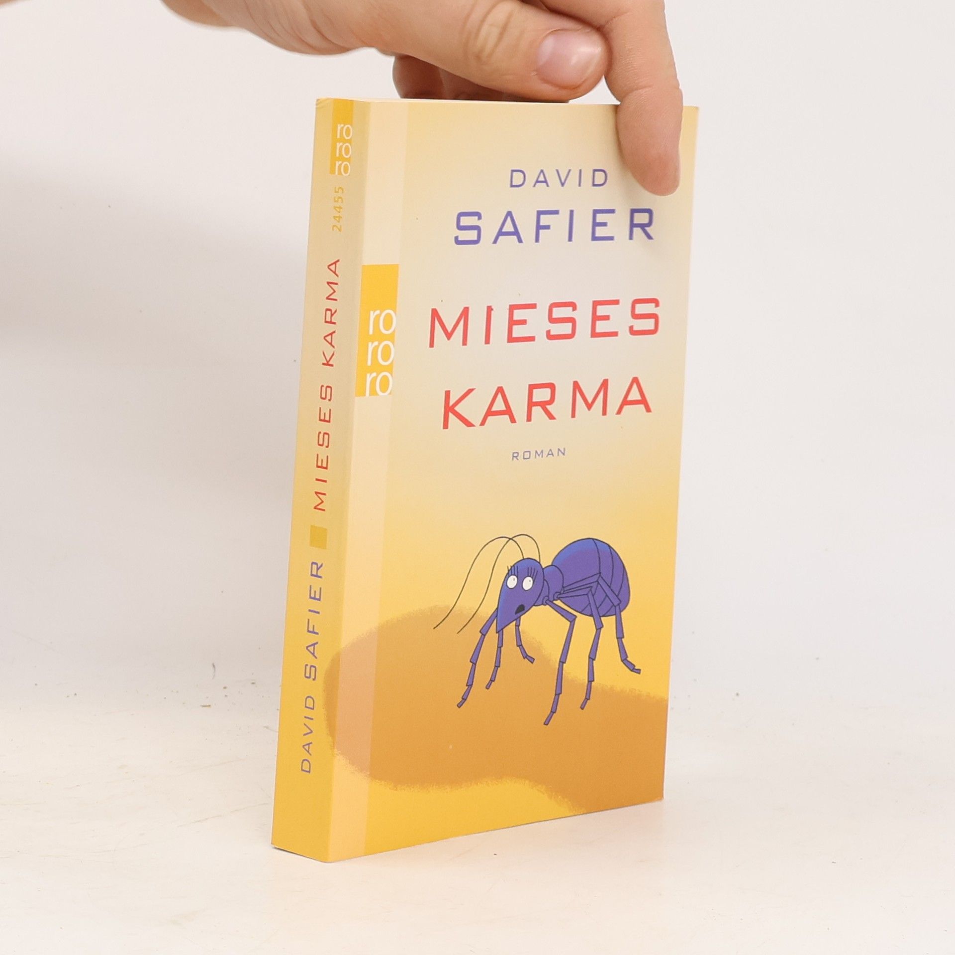 David Safier Mieses Karma