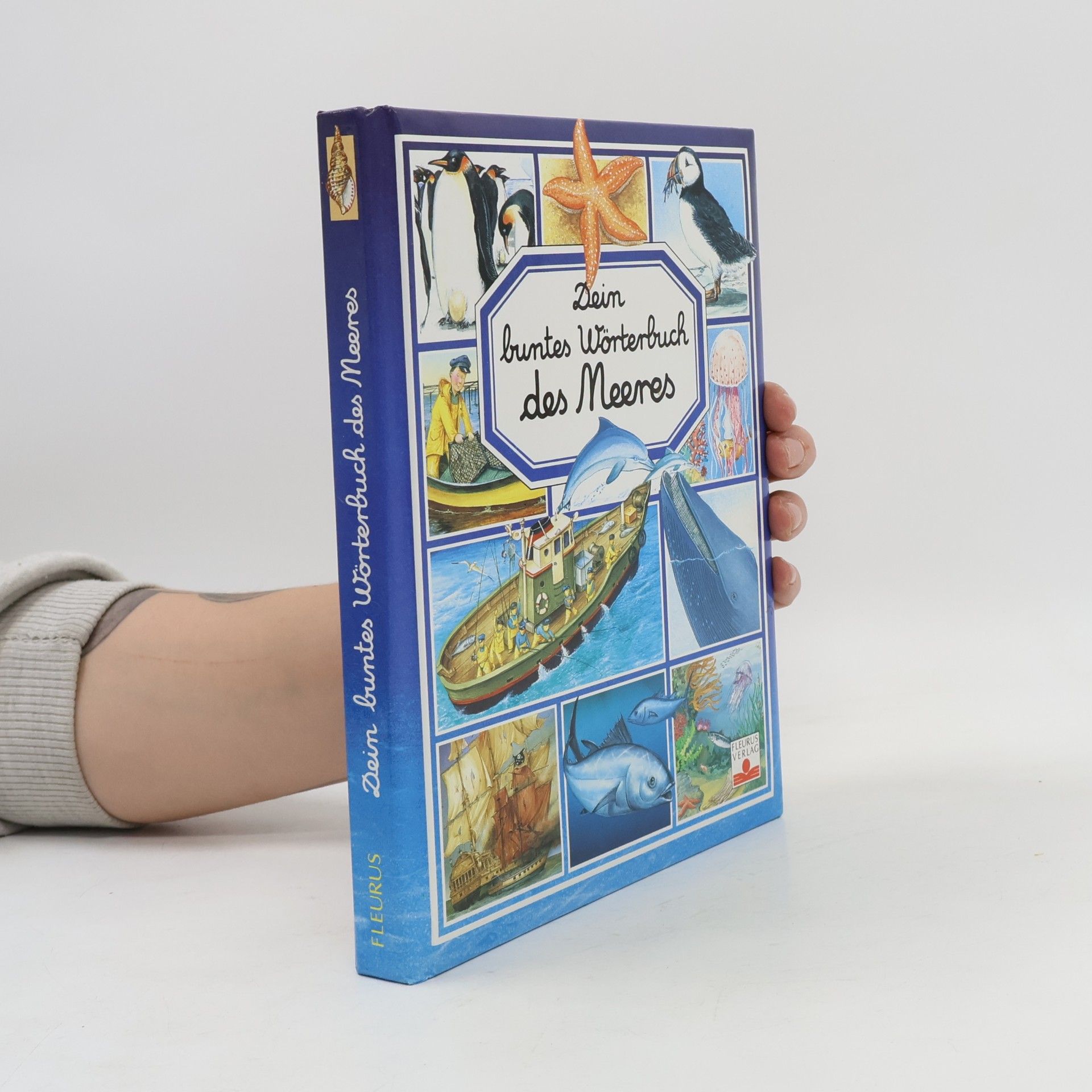 Marie-Renée Pimont Dein buntes Wörterbuch des Meeres