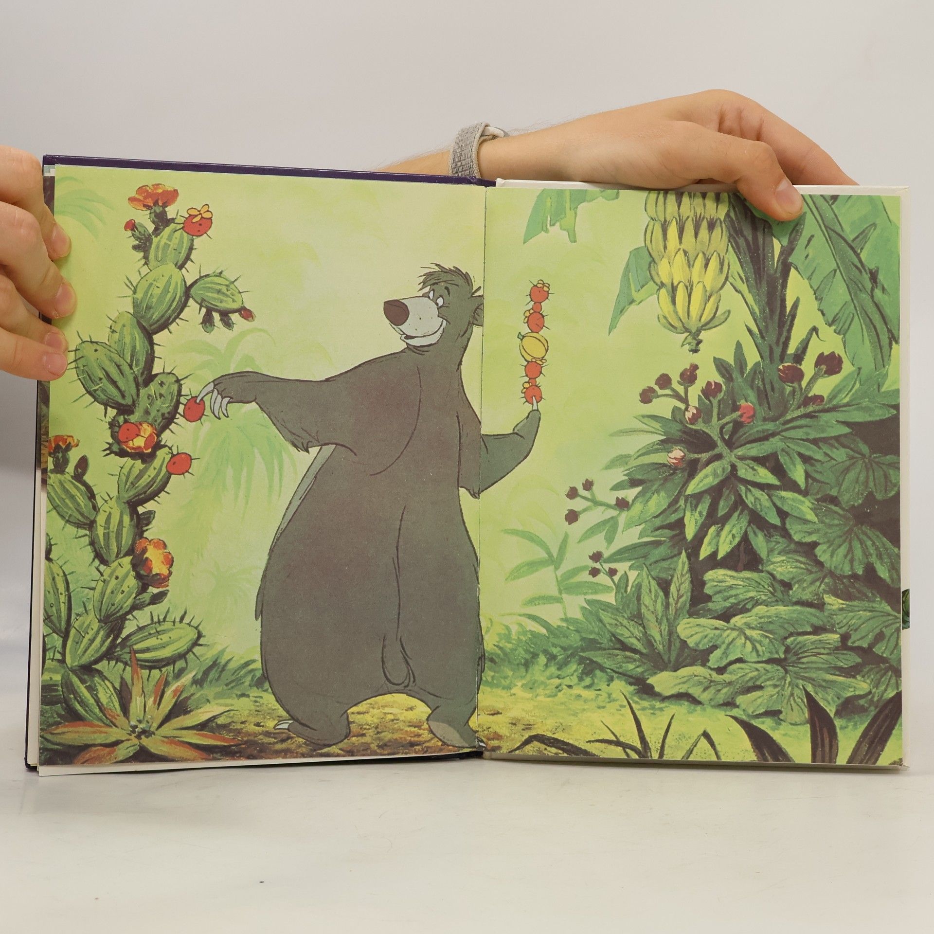 Rudyard Kipling Das Dschungelbuch