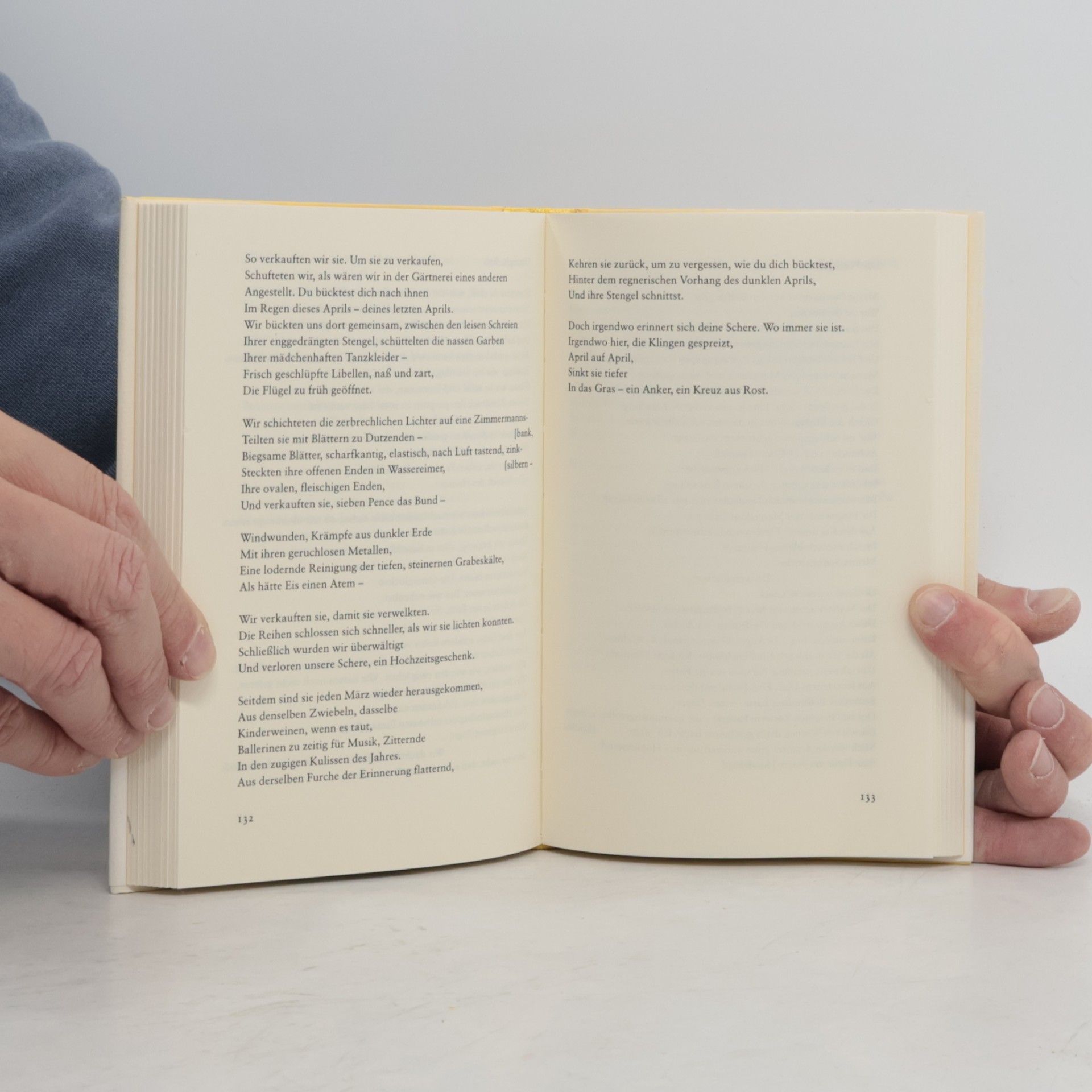 Ted Hughes Birthday letters