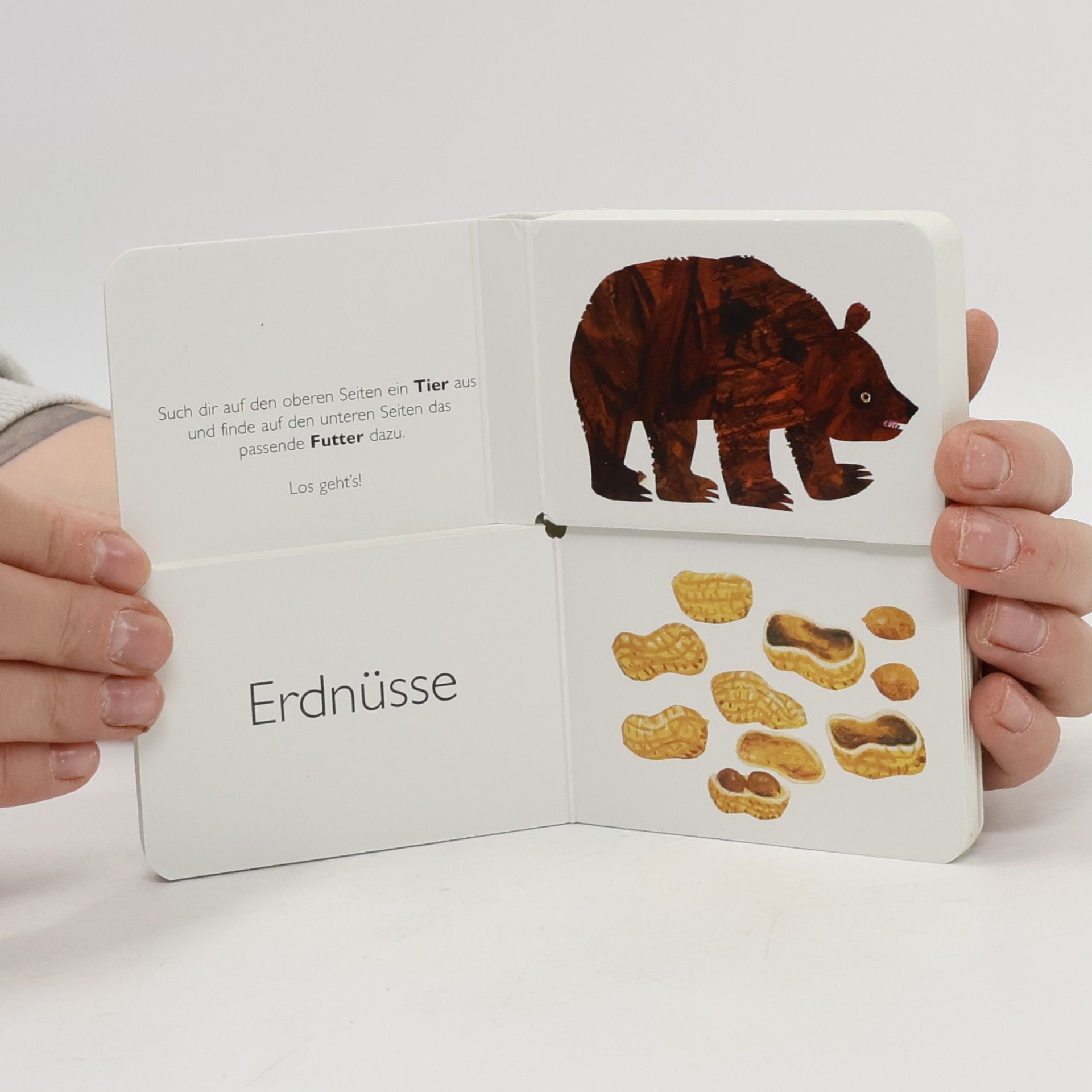 Eric Carle Mein allererstes Buch vom Essen