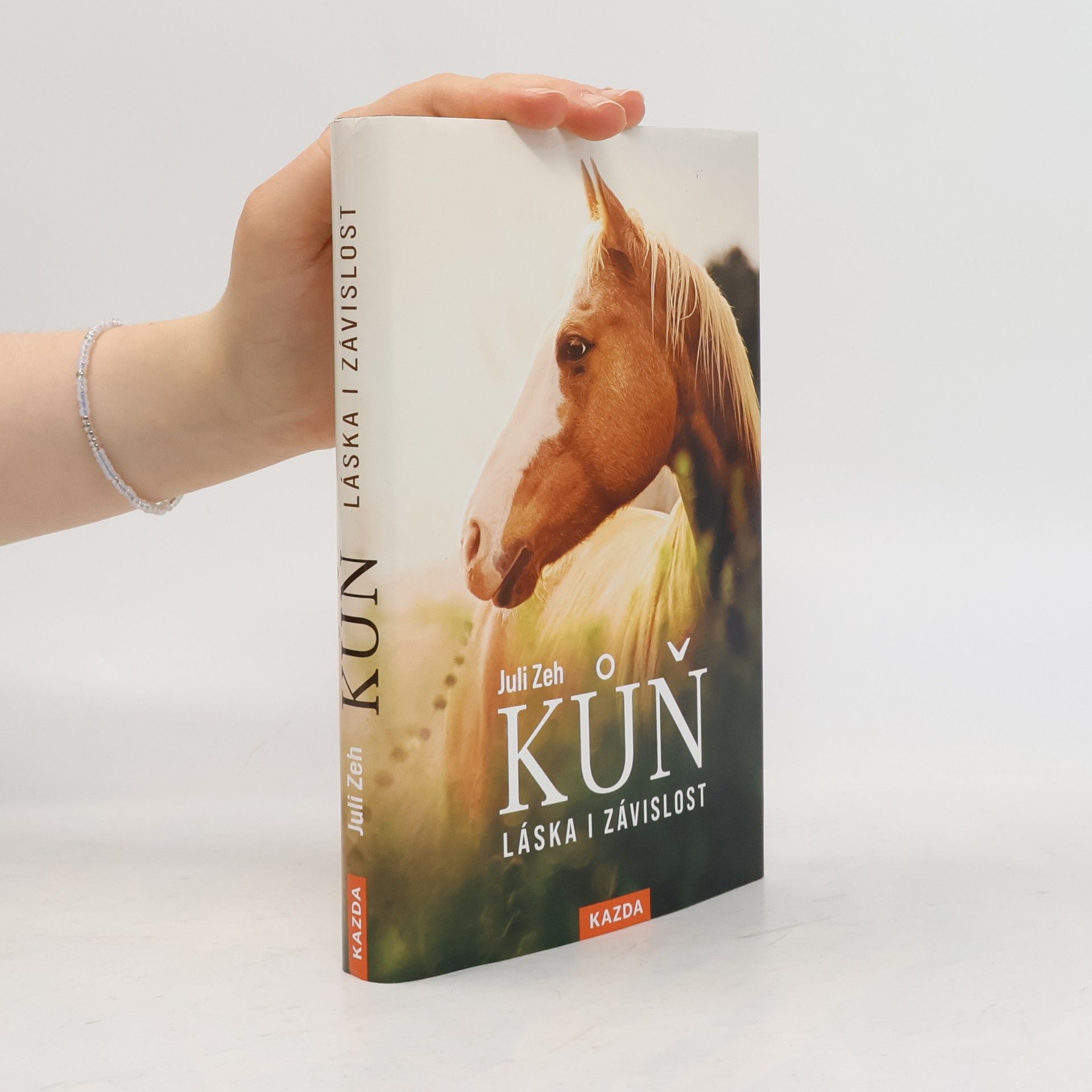 Juli Zeh Kůň : láska i závislost