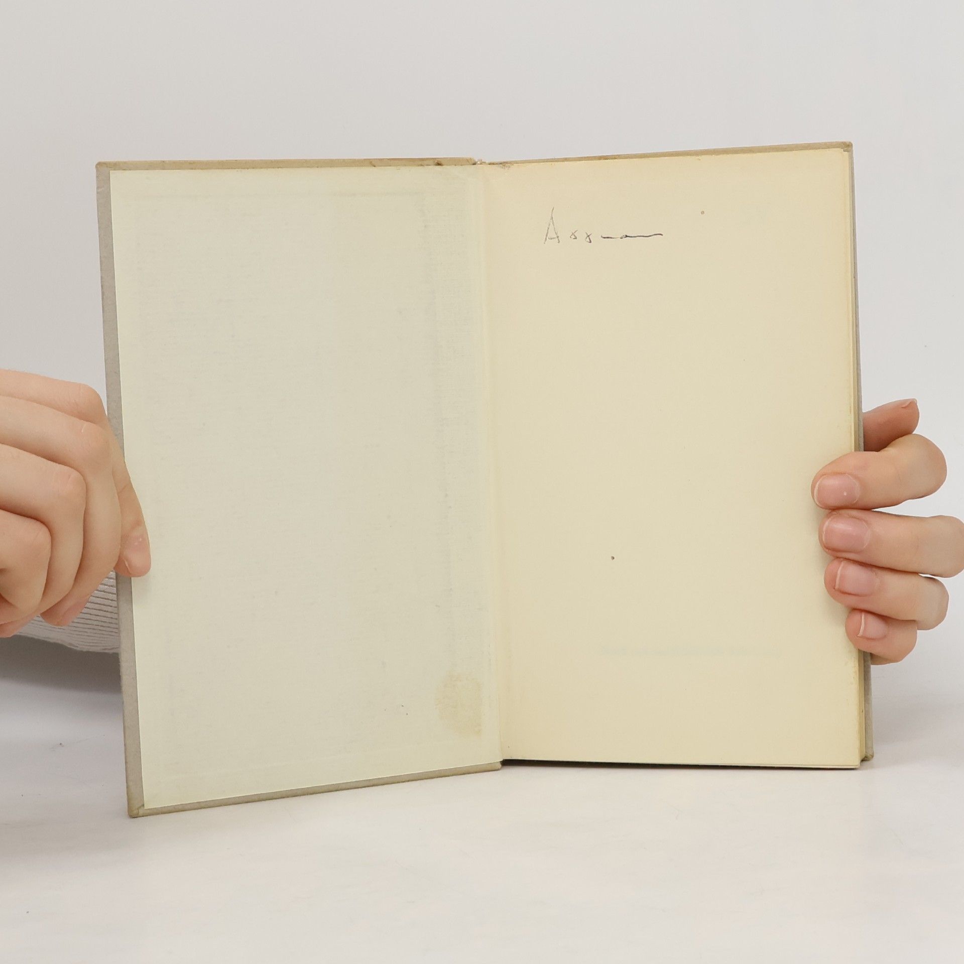 Raymond Queneau Stilübungen