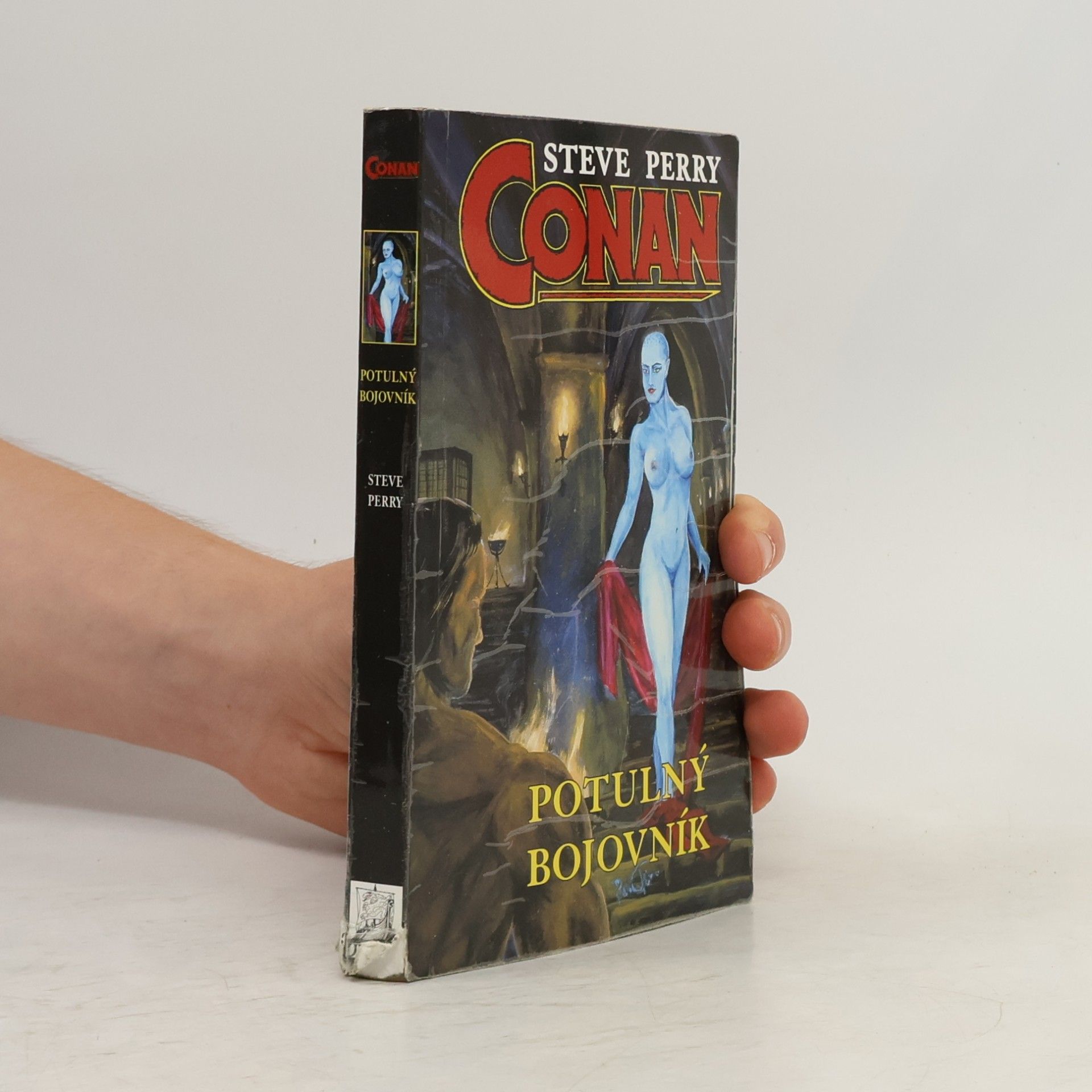 Steve Perry Conan, Potulný bojovník