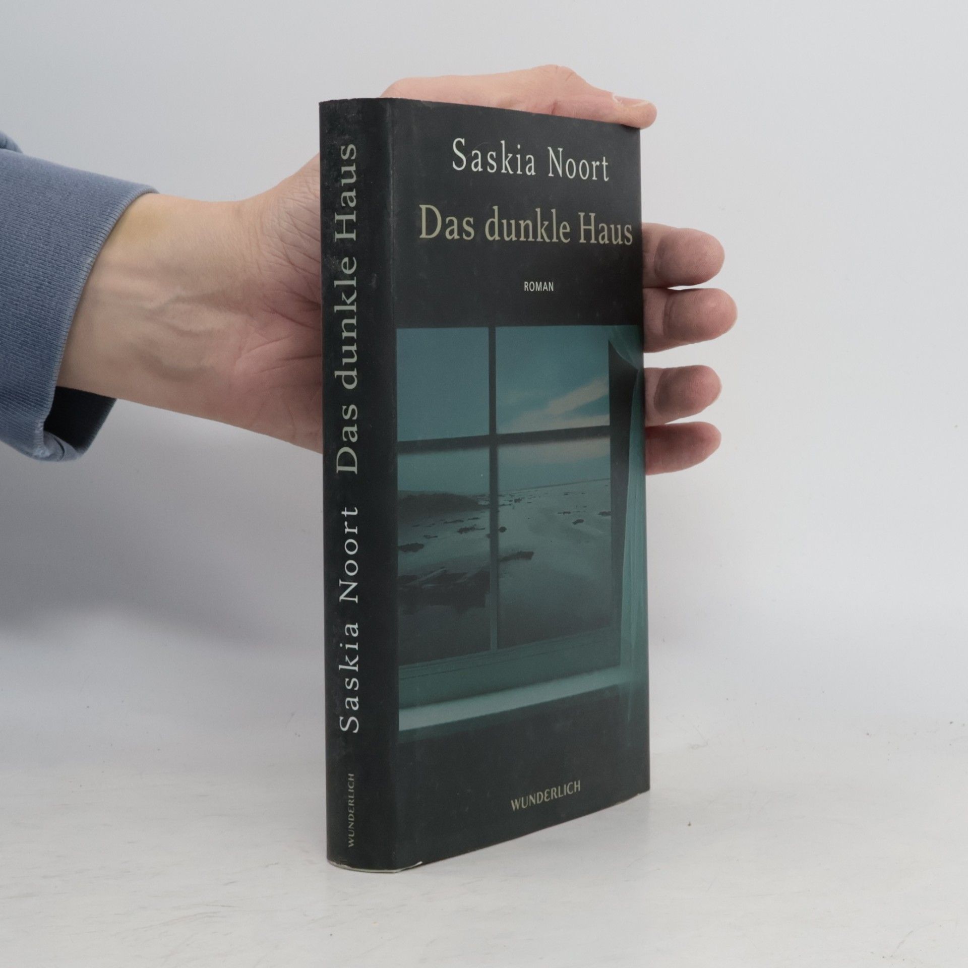 Saskia Noort Das dunkle Haus