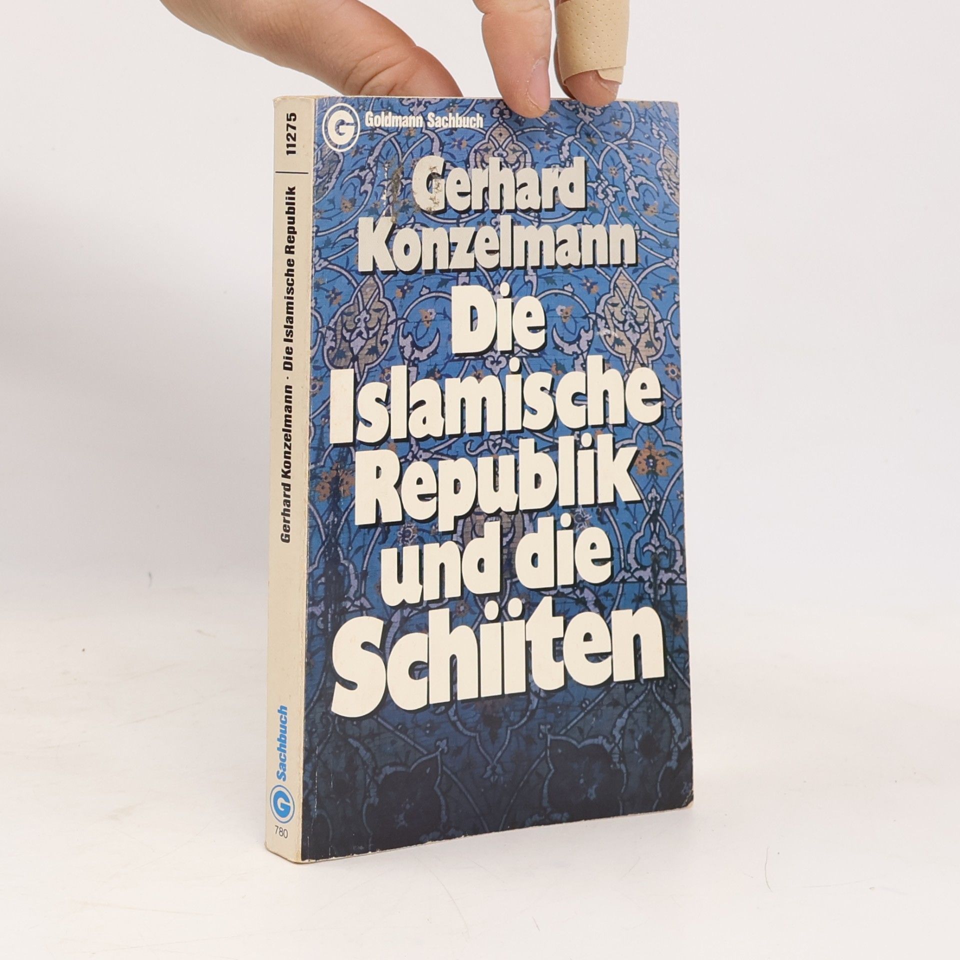 Die Islamische Republik und die Schiiten
