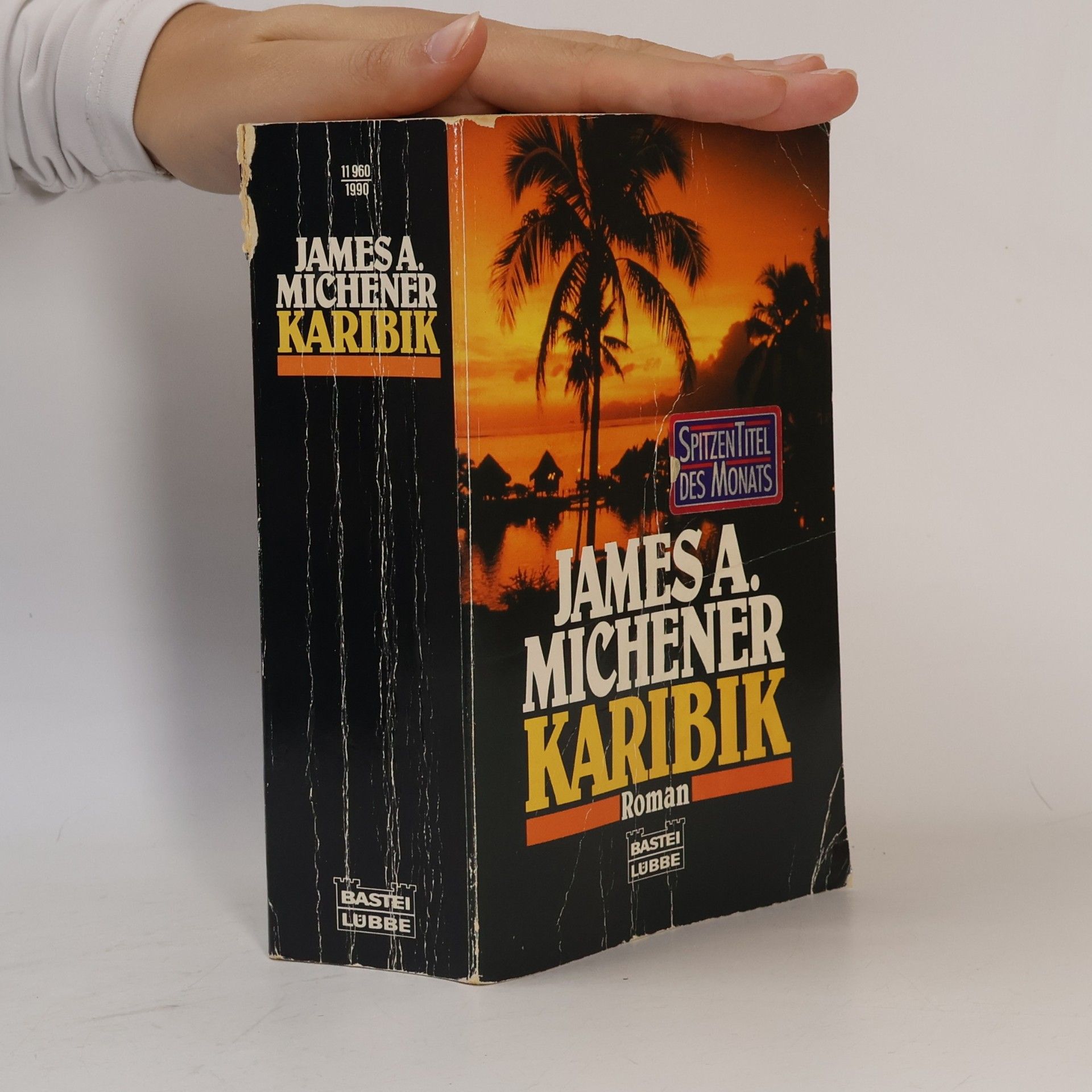 James A. Michener Karibik