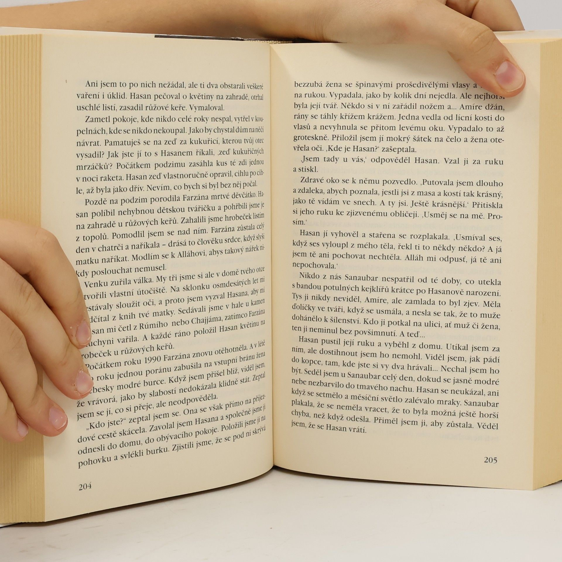 Khaled Hosseini Lovec draků