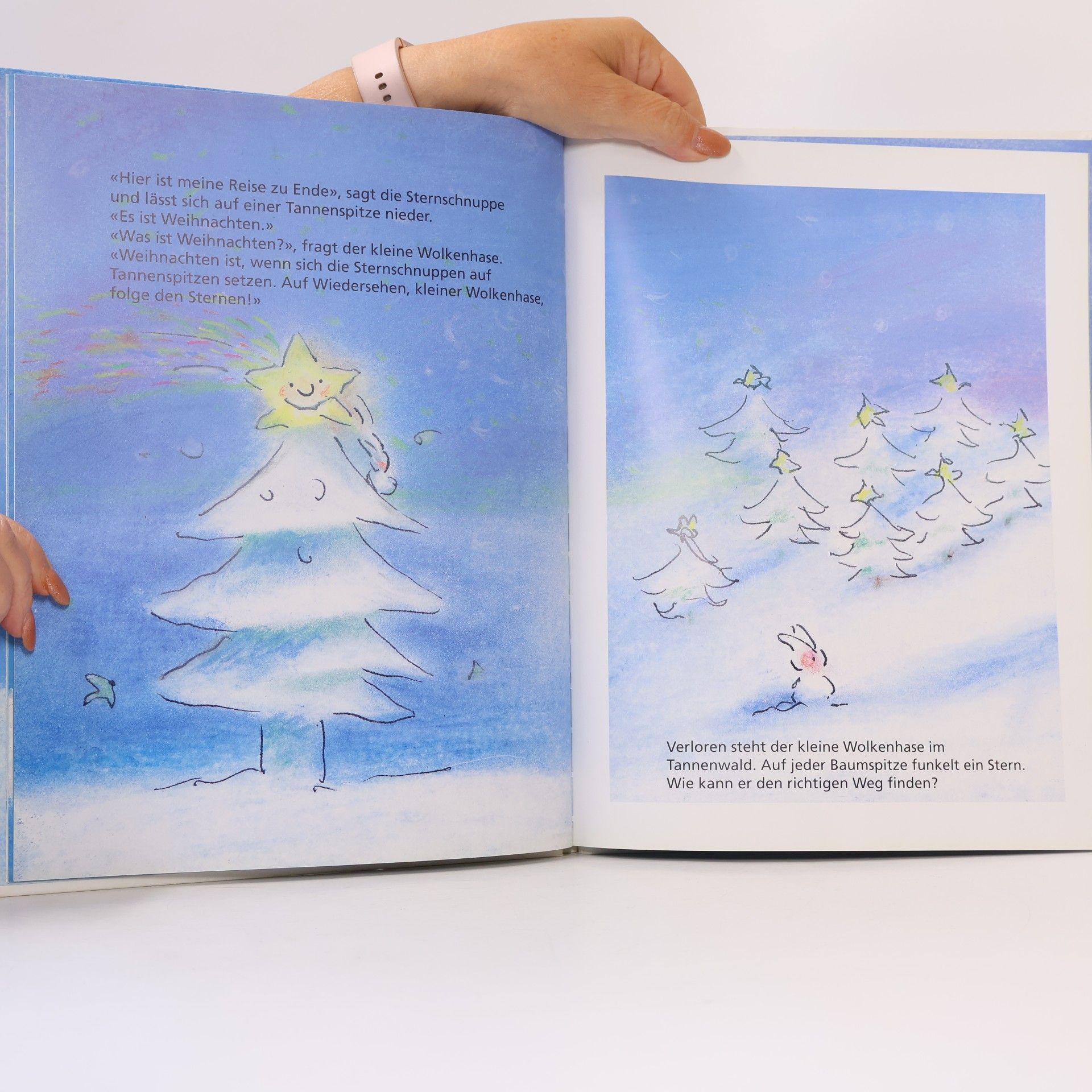 Andre Dahan Wie der Wolkenhase an Weihnachten einen wunderbaren Freund fand