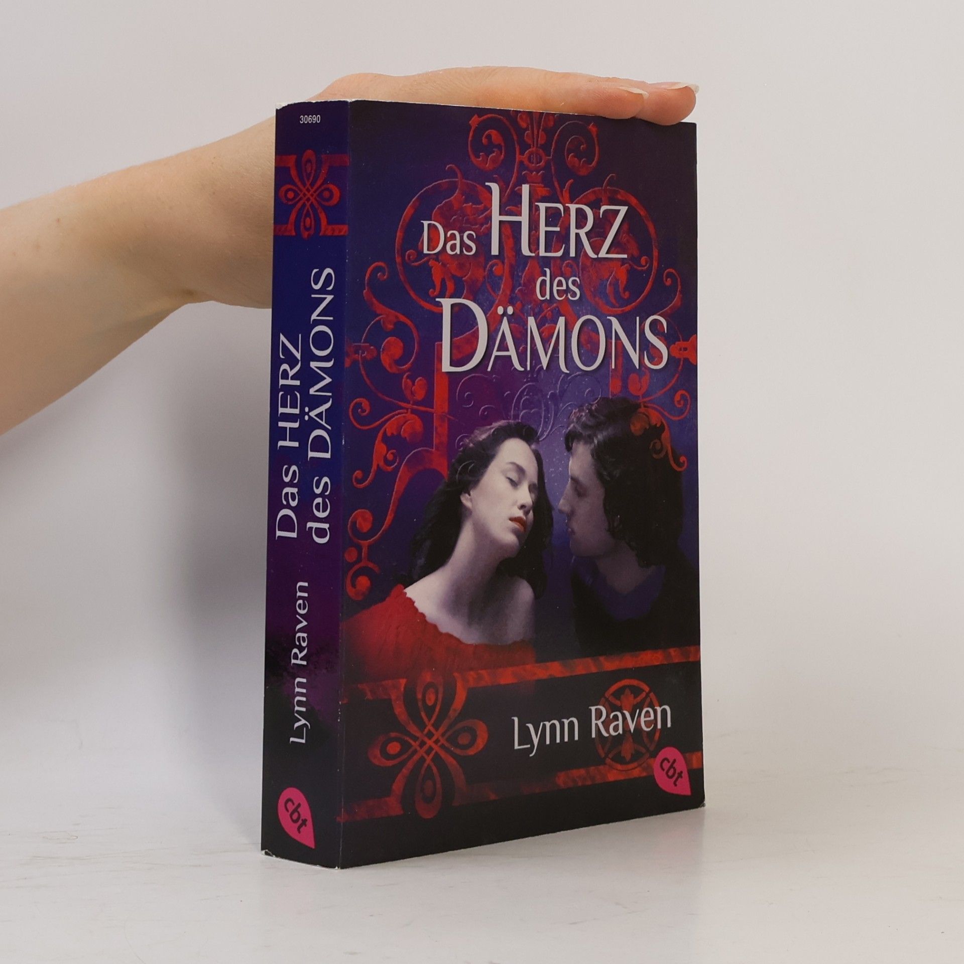 Lynn Raven Das Herz des Dämons
