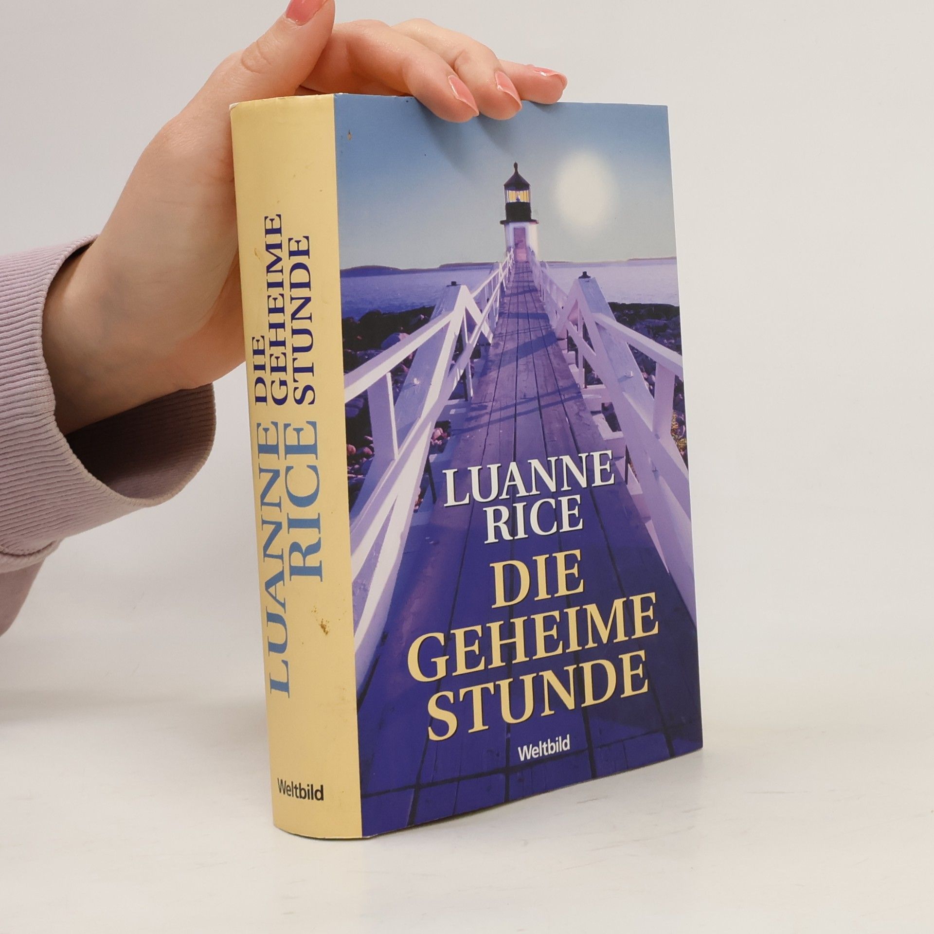 Luanne Rice Die geheime Stunde