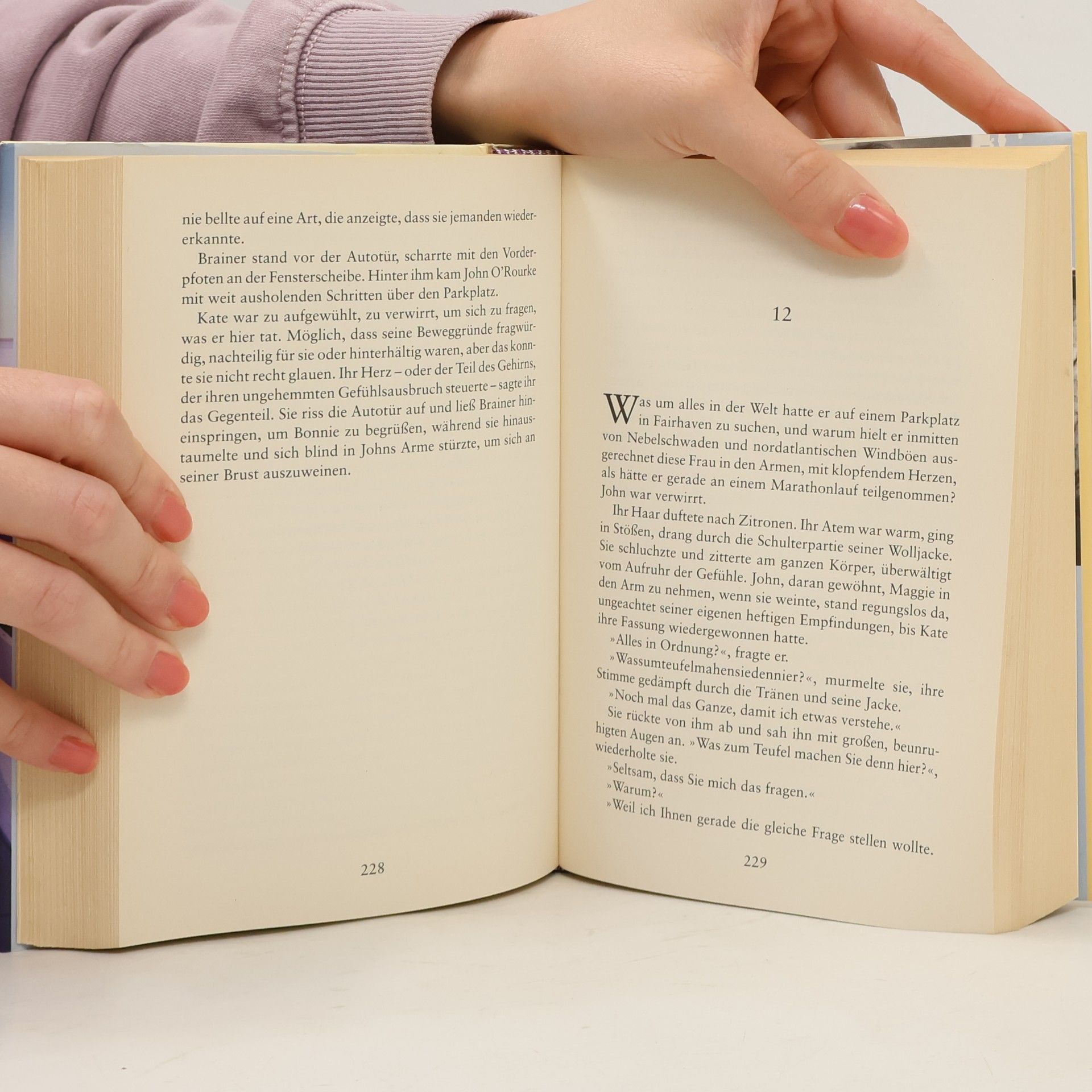 Luanne Rice Die geheime Stunde