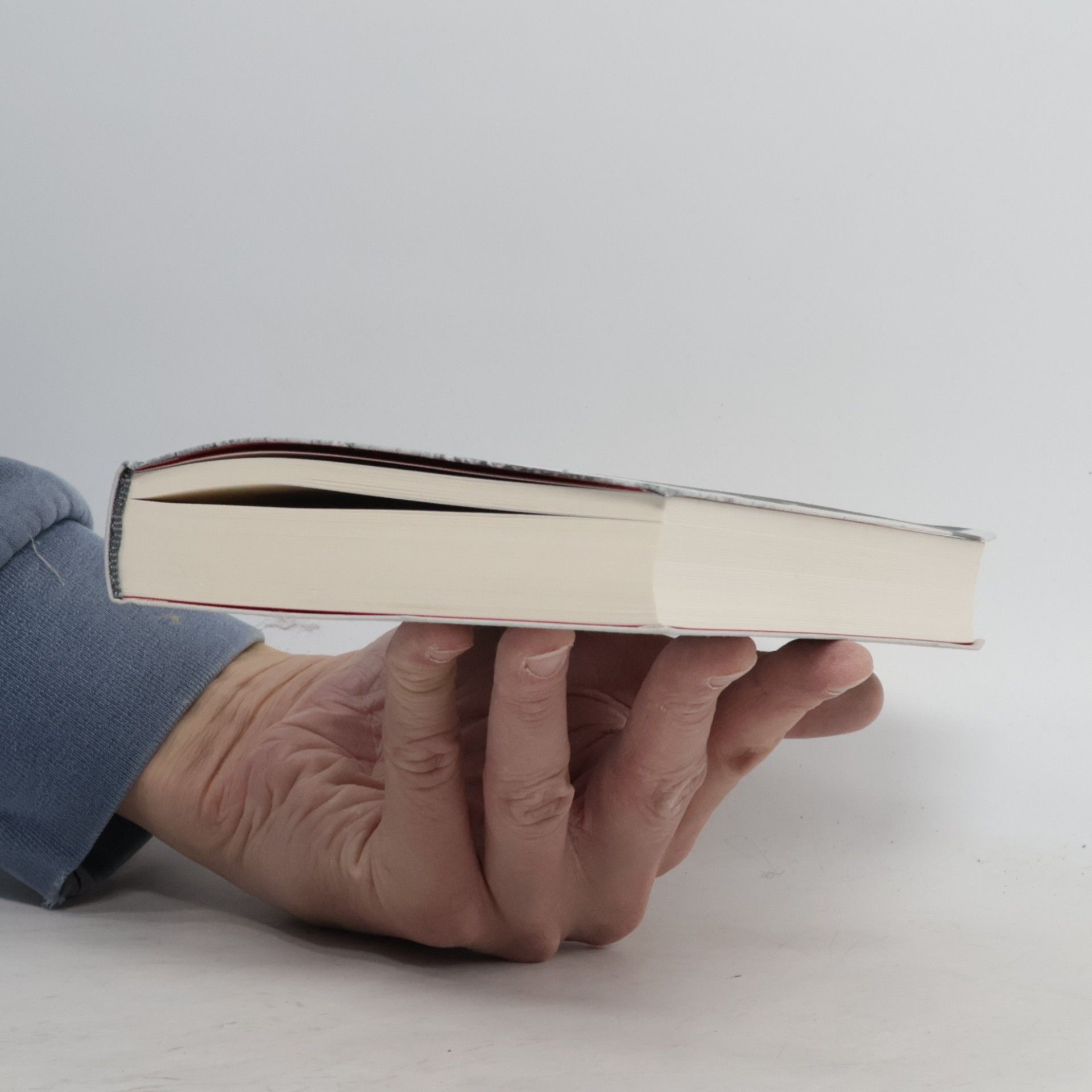 Sandra Schubert Das literarische Katzenbuch