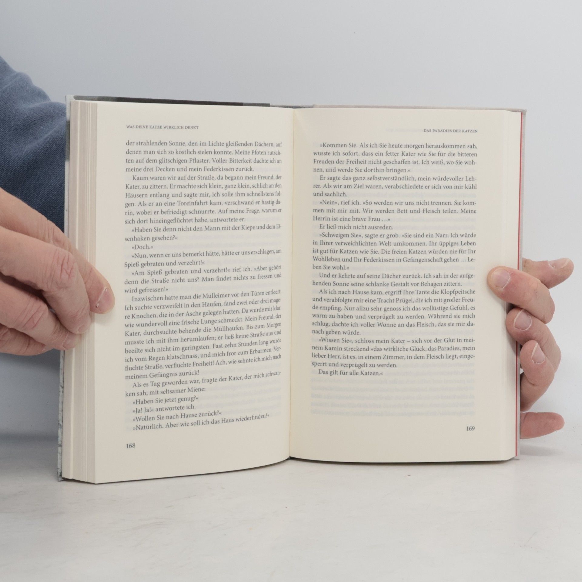 Sandra Schubert Das literarische Katzenbuch