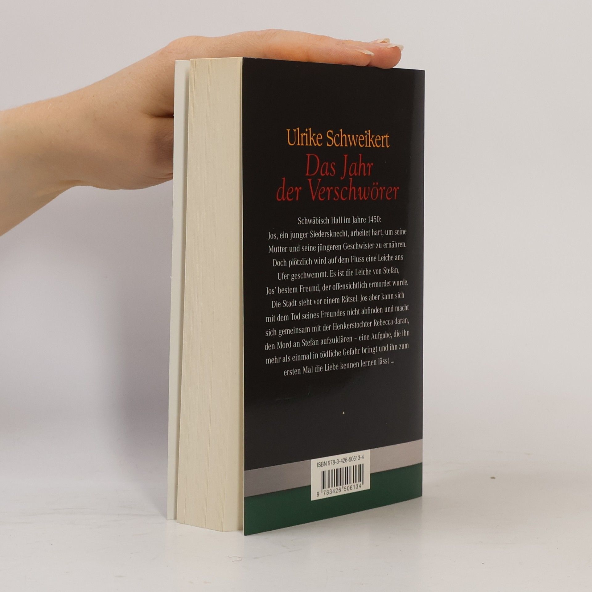 Ulrike Schweikert Das Jahr der Verschwörer