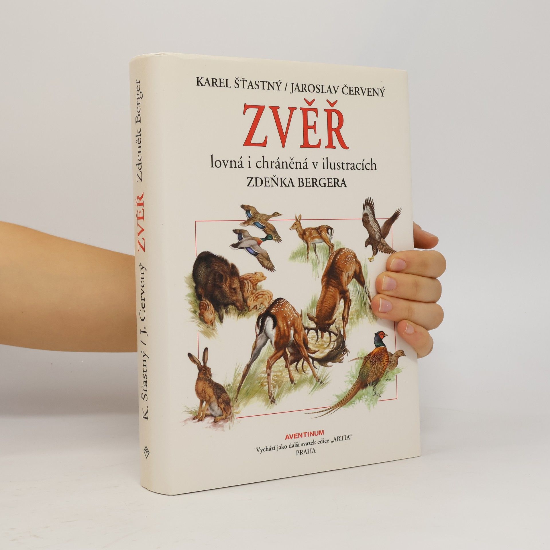 Zvěř lovná i chráněná