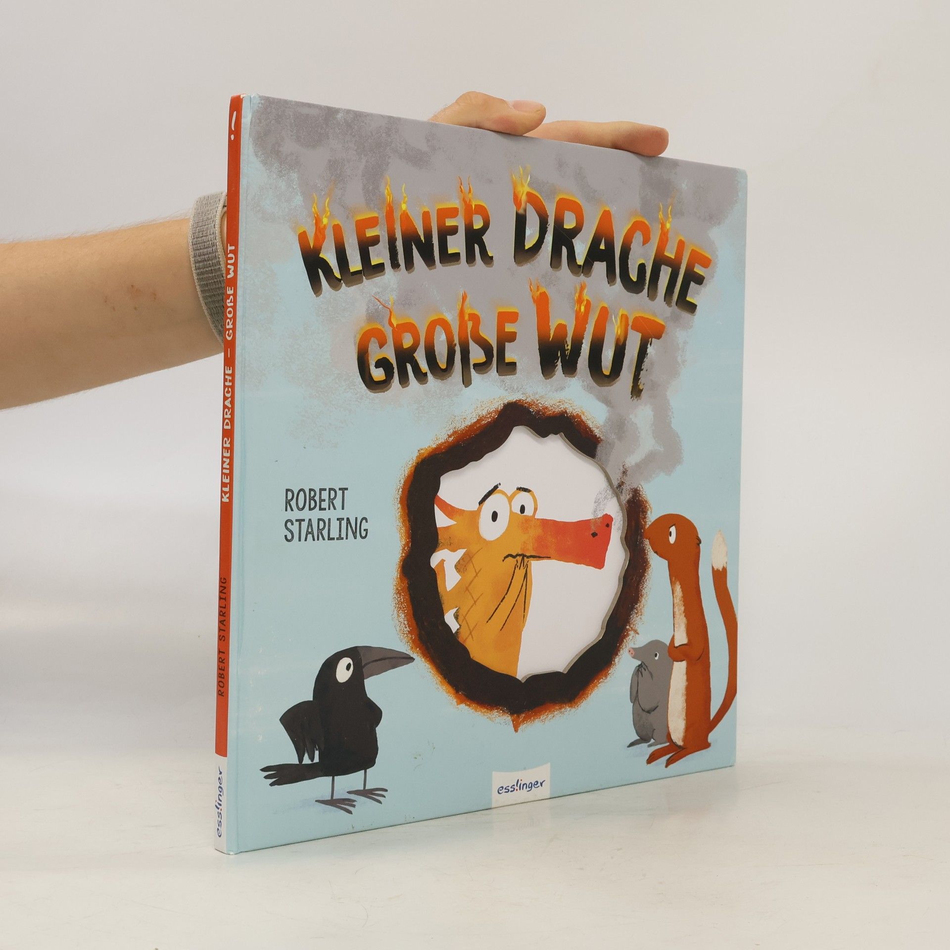 Robert Starling Kleiner Drache - große Wut