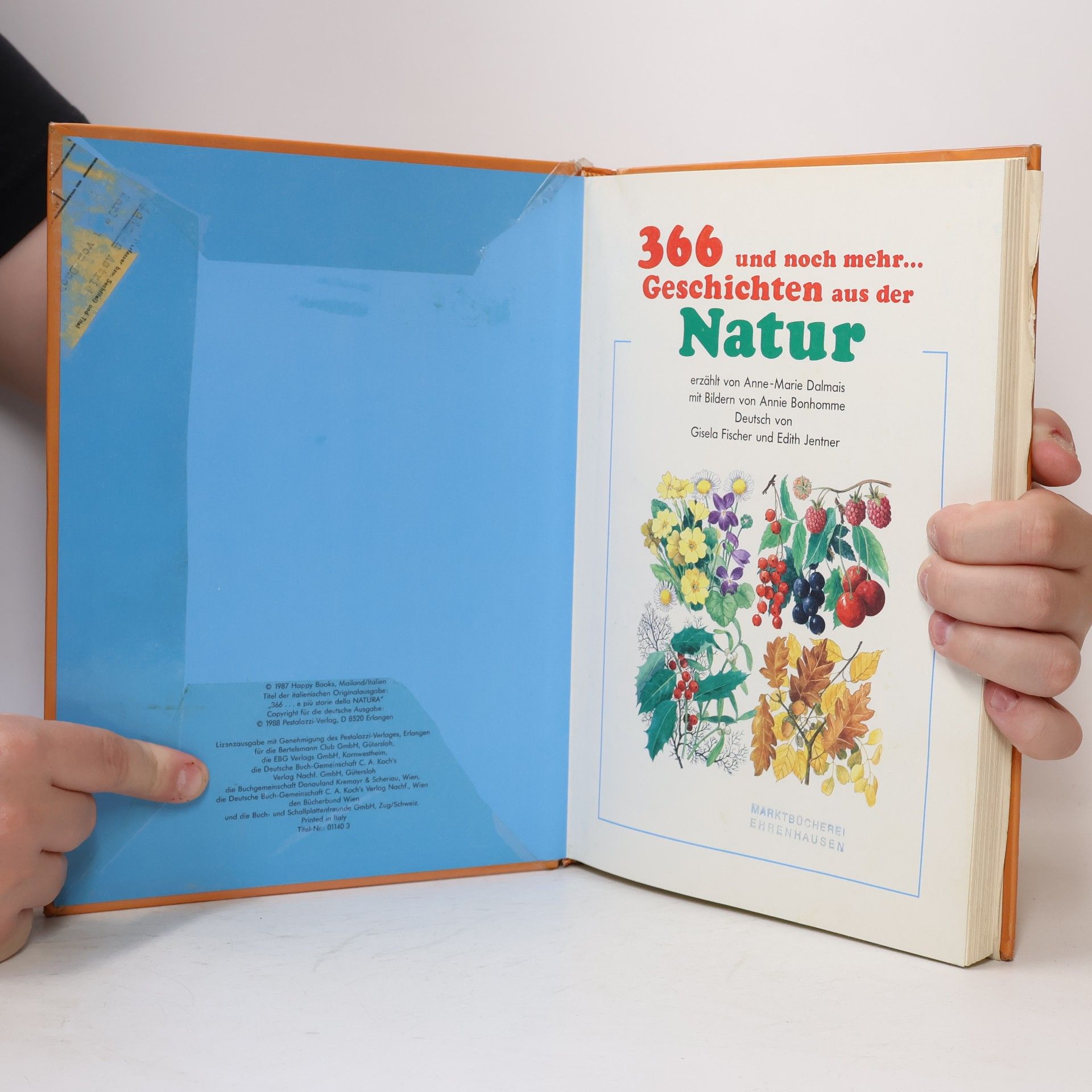 kolektiv 366 und noch mehr... Geschichten aus der Natur