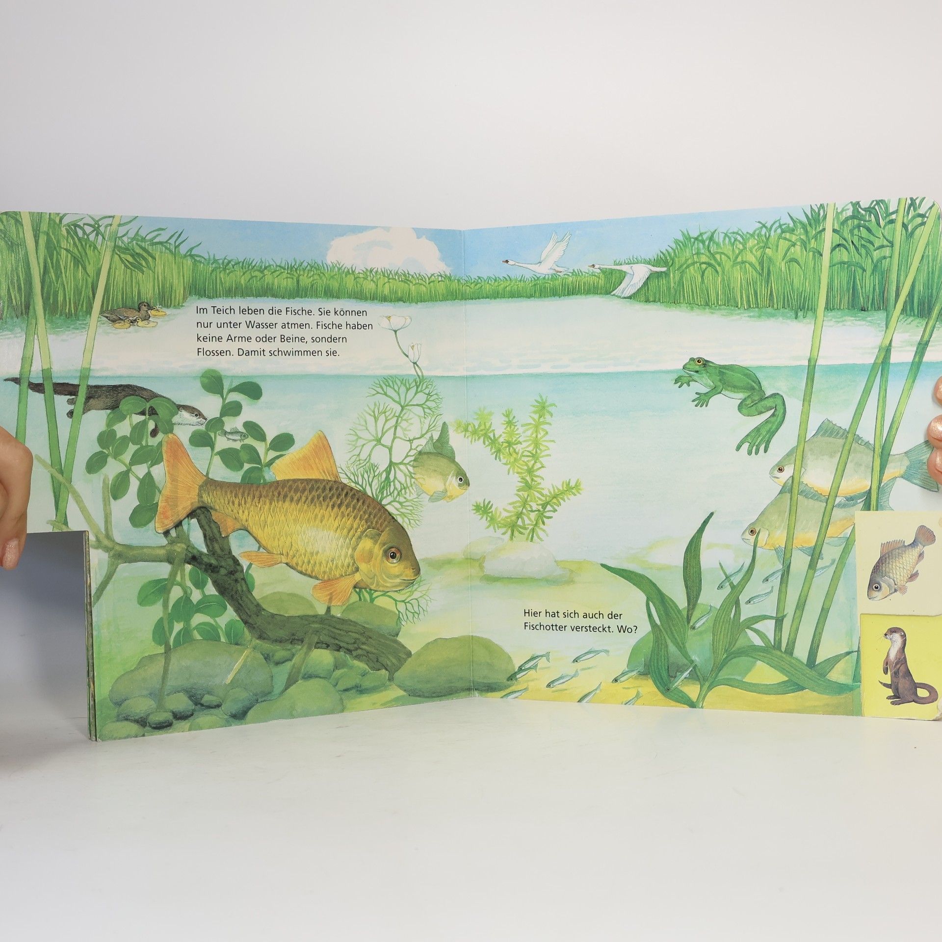 Christine Henkel Das Versteck am Teich